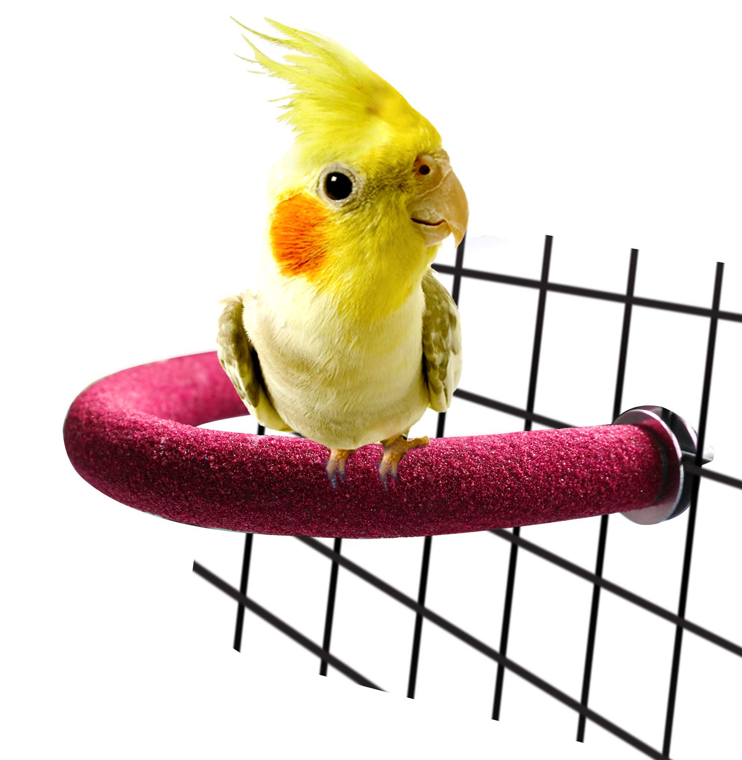 Rypet Parrot Perch Rough-Surfaced - Quartz Sands Bird Cage Perches For Small Parakeets Cockatiels, Conures, Macaws, Parrots, Love Birds, Finches Cages Toy, U Shape