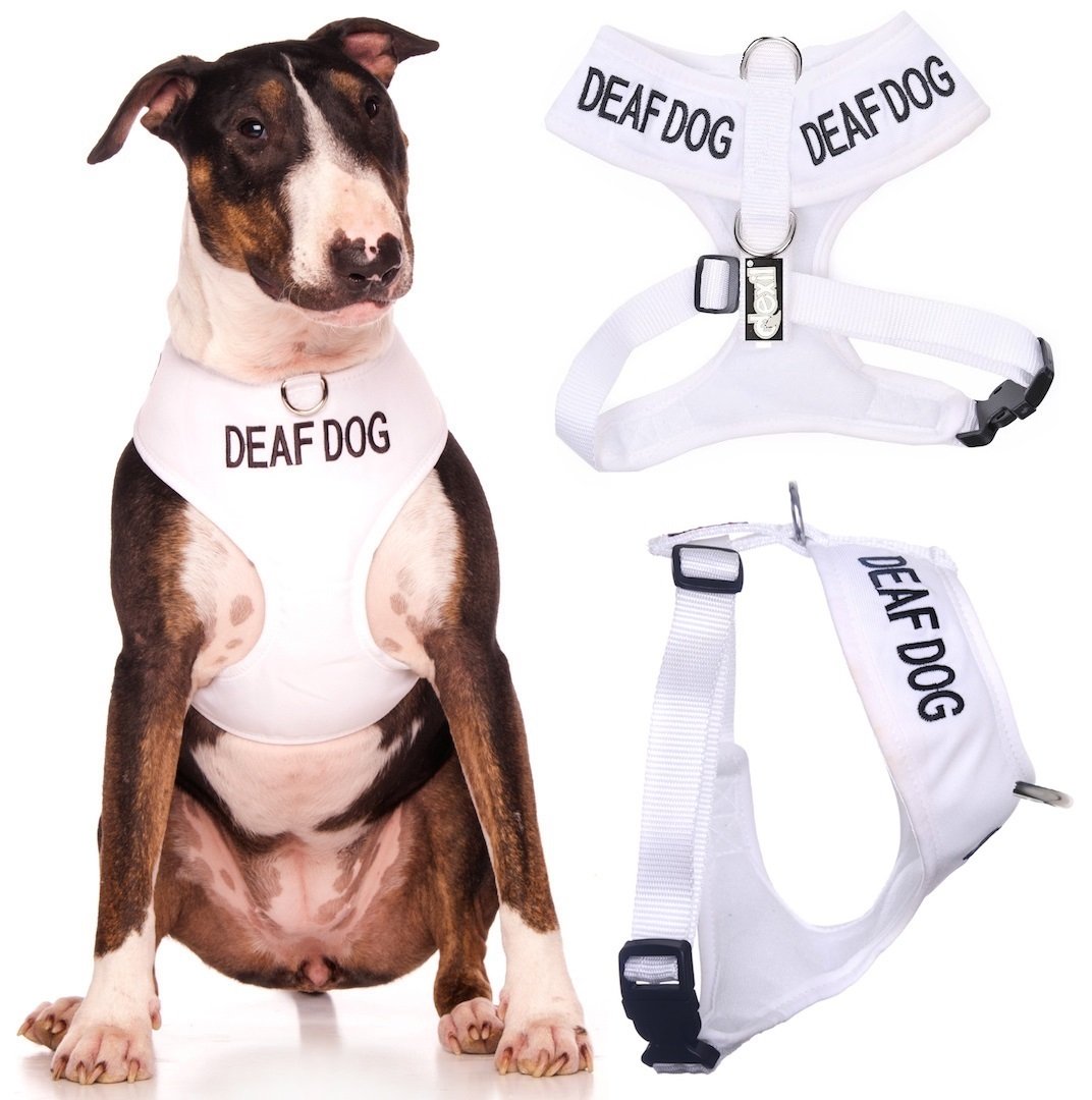 Deaf Dog (Dog Has Limited/No Hearing) White Colour Coded Non-Pull Front and Back D Ring Padded and Waterproof Vest Dog Harness P