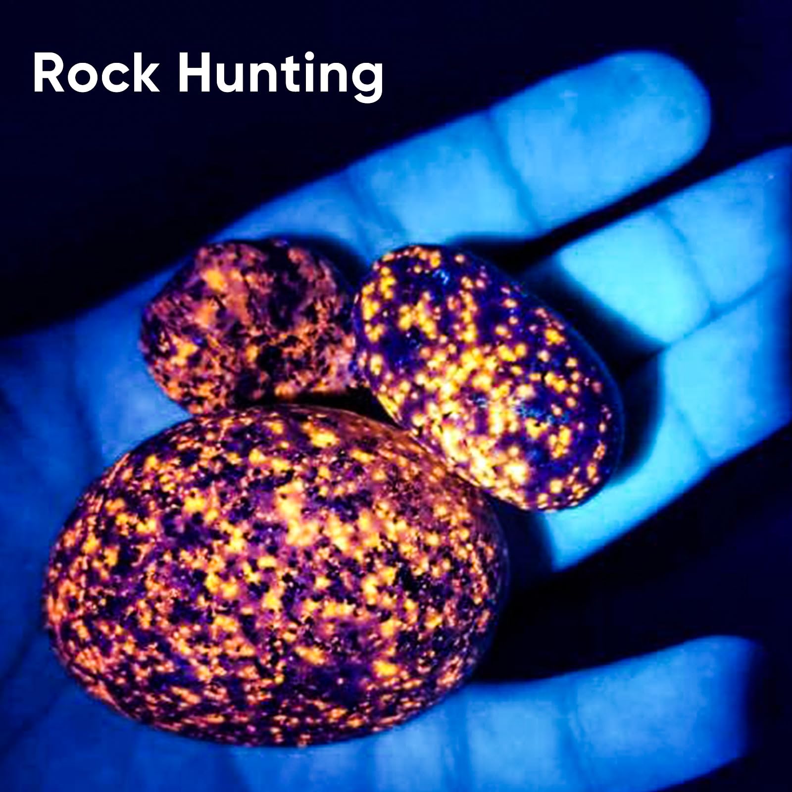 Uv Flashlight 20W, 5000 Mah High Power 365Nm Uv Light, Led Usb Rechargeable Black Light Flashlight For Pet Urine Detection, Resi