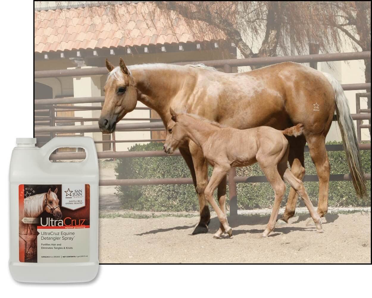 Ultracruz - Sc-395300 Equine Detangler Spray For Horses, 1 Gallon