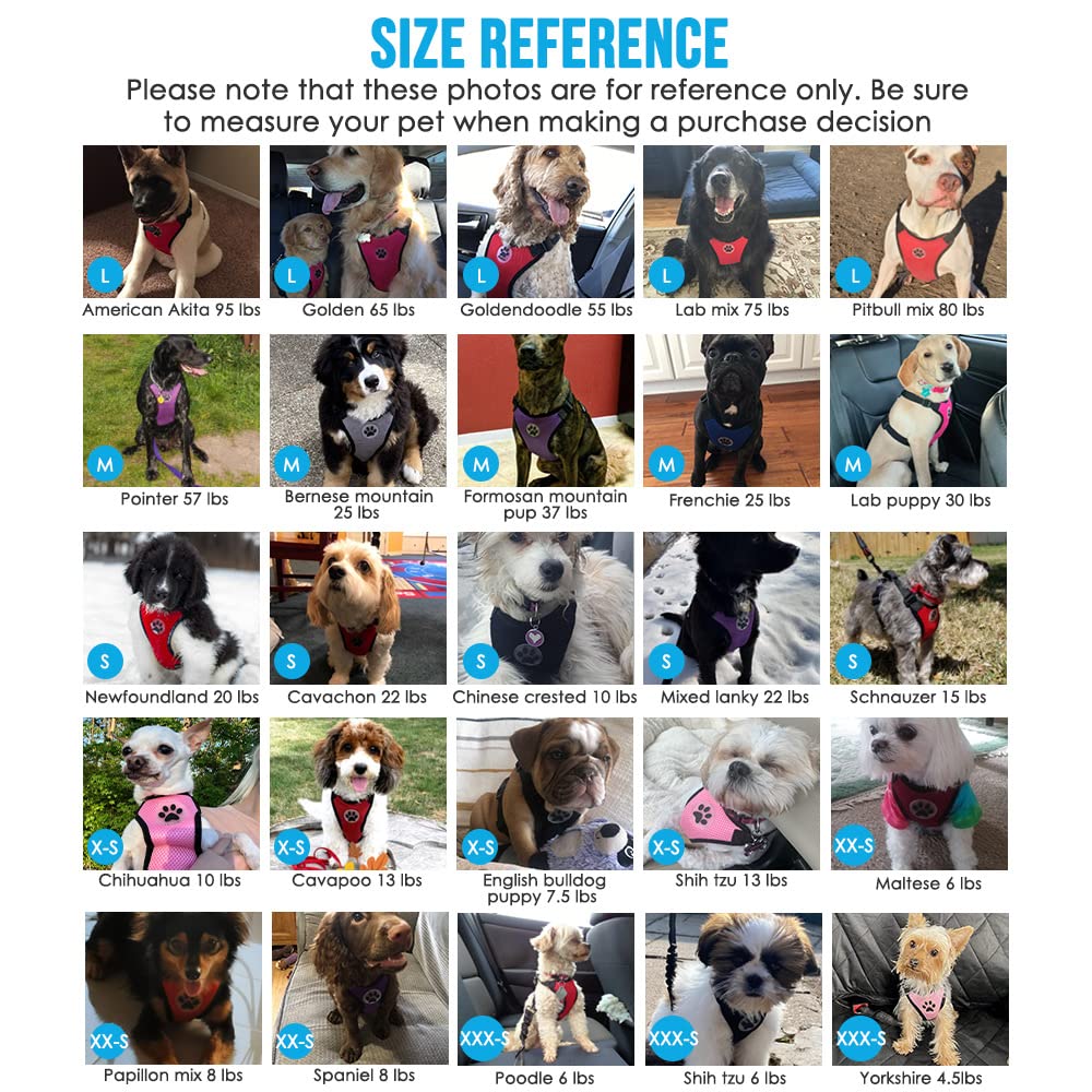 Slowton Dog Seat Belt Harness For Car, Dog Car Harness Adjustable Mesh Breathable & Dog Seatbelt Safety Tether With Elastic Bungee For Small Medium Large Pets(Green, Double Clip, Xs)