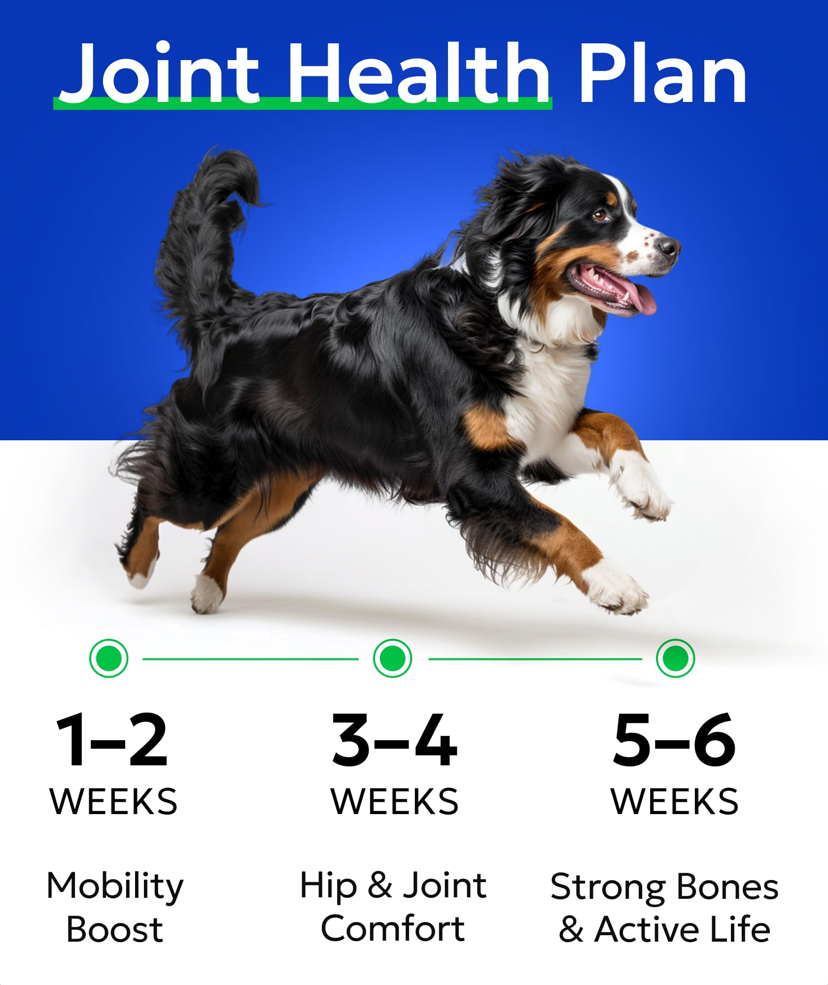 Bark&Spark Glucosamine Chondroitin Dog Hip & Joint Supplement - Joint Pain Relief - Hip & Joint Chews - Joint Support Large Smal