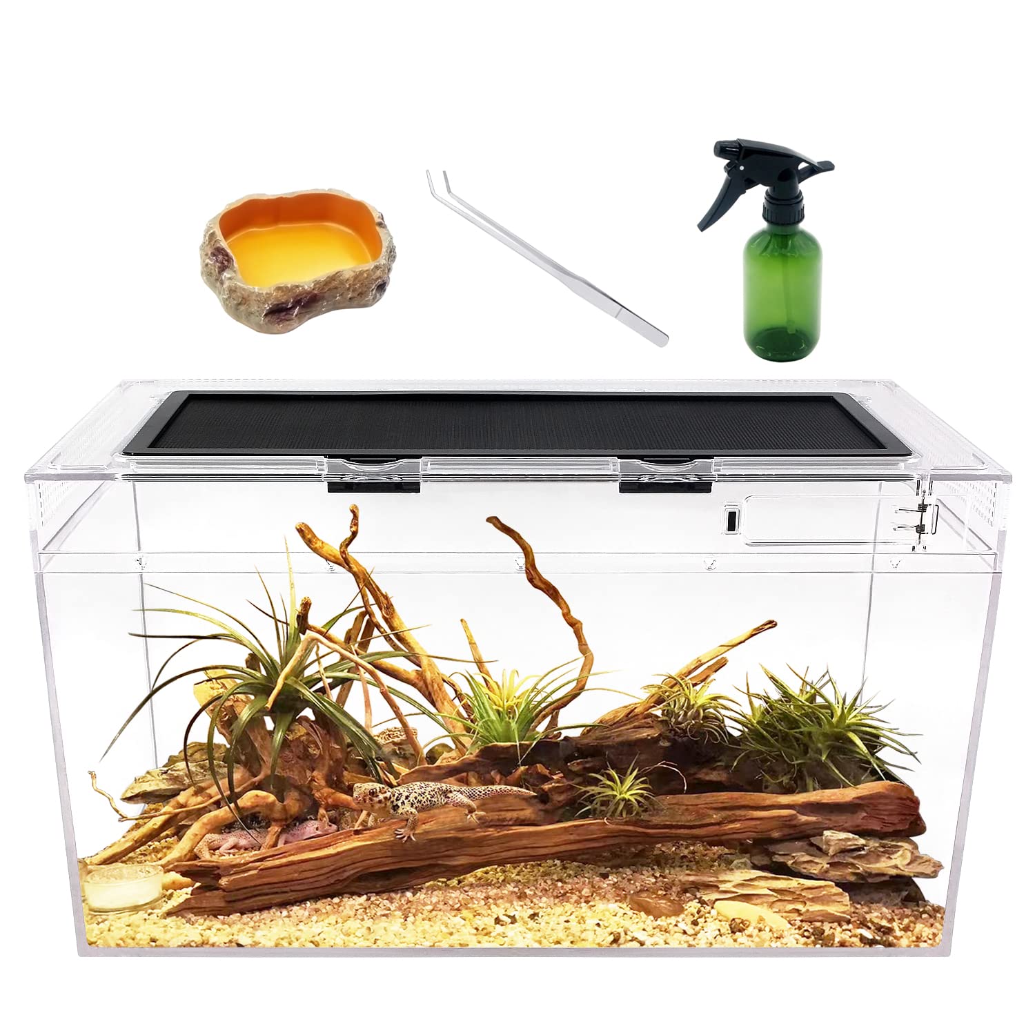 Reptile Growth Reptile Terrarium,10 Gallon Reptile Tank 20'' X 10''X 11'',For Insect,Fish,Tarantula,Hermit Crab,Jumping Spider,I