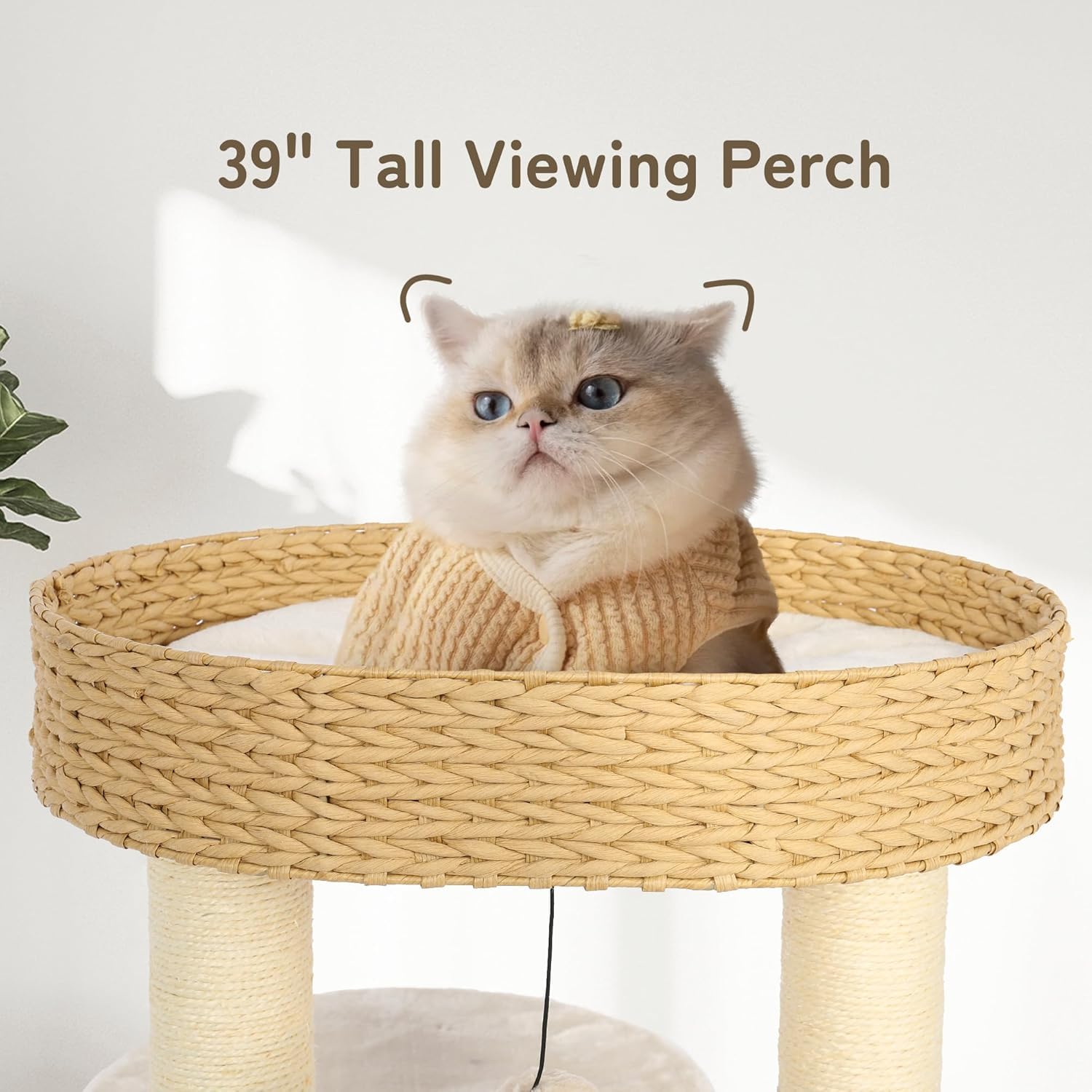 Kamaboko Modern Cat Tree, 39 Tall Cat Trees For Kittens Climb Play & Rest, Cat-Tree For Indoor Cats W/Natural Sisal Scratching