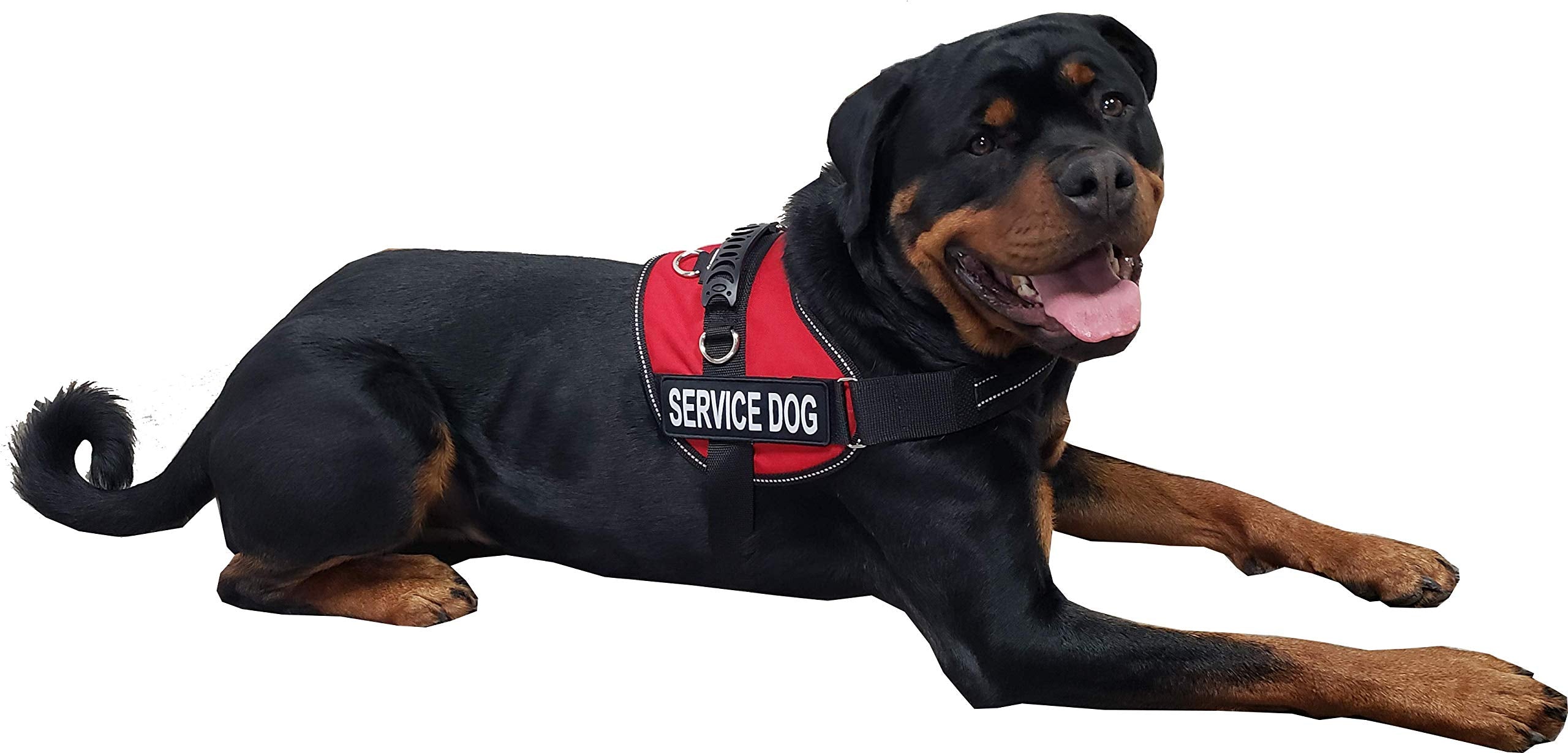 Activedogs Air-Tech Cordura Service Dog Vest Harness, Medium Girth 22'-30' W/Handle, Ada Cards + Reflective Service Dog Patches - Red