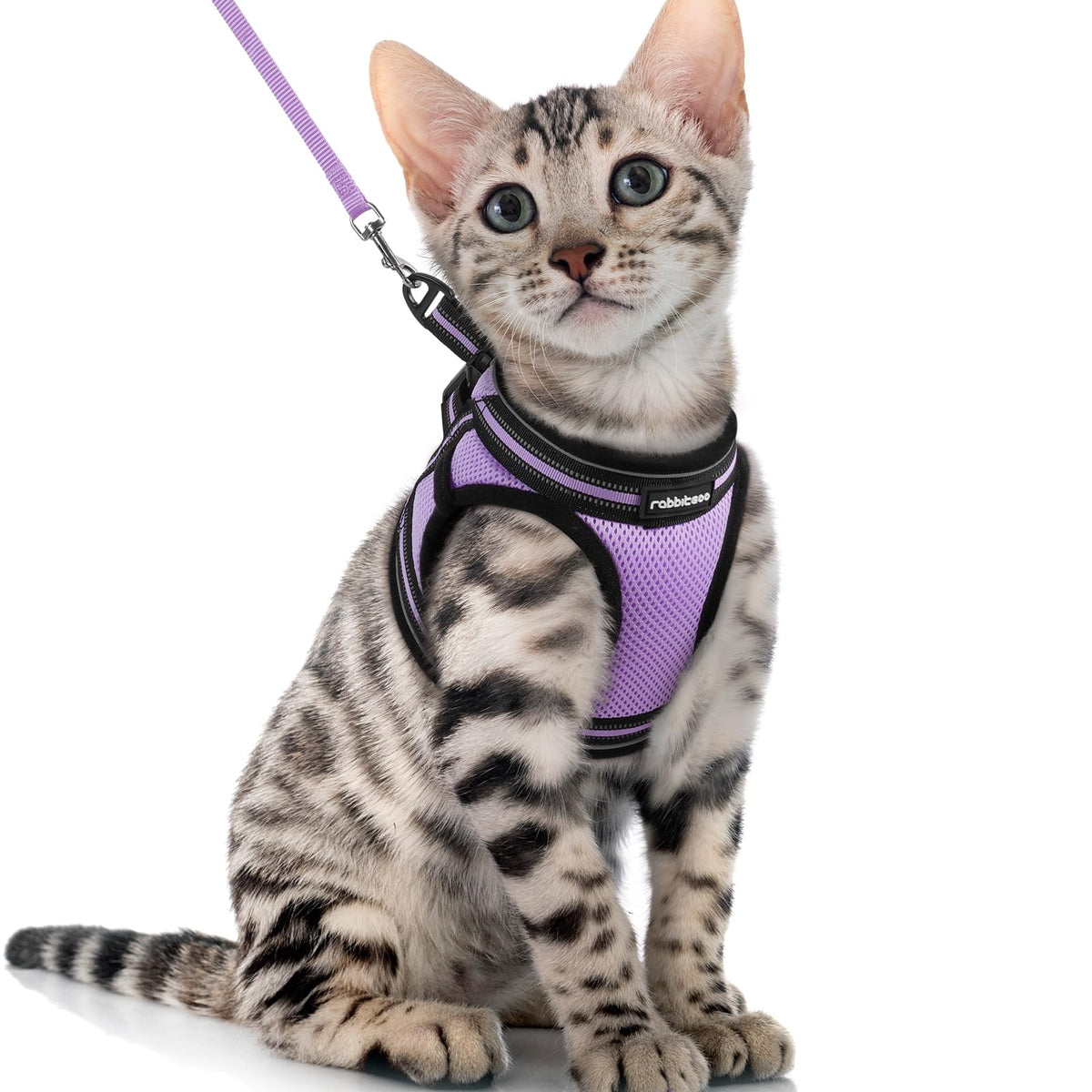 Rabbitgoo Cat Harness And Leash Set For Walking Escape Proof, Adjustable Soft Kittens Vest With Reflective Strip For Cats, Comfortable Outdoor Vest, Light Purple, Xl
