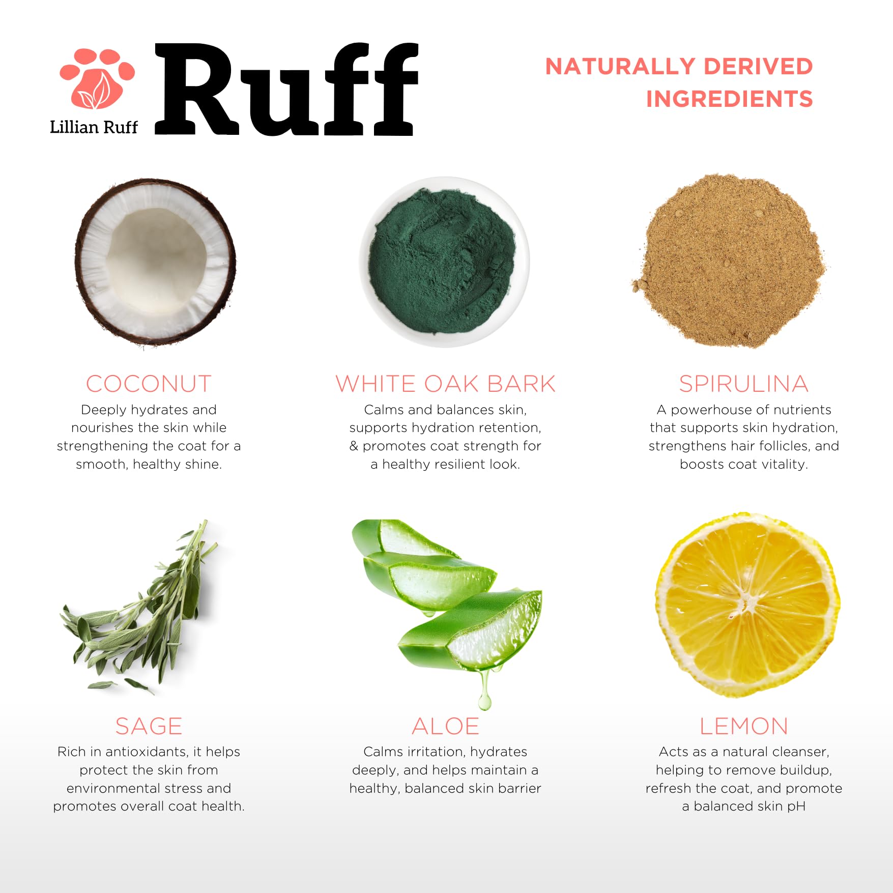 Ruff by Lillian Ruff No-Rinse Waterless Dog Shampoo Spray | Sandalwood Amber | Pet Deodorizer | for Cleaning, Conditioning, Deta