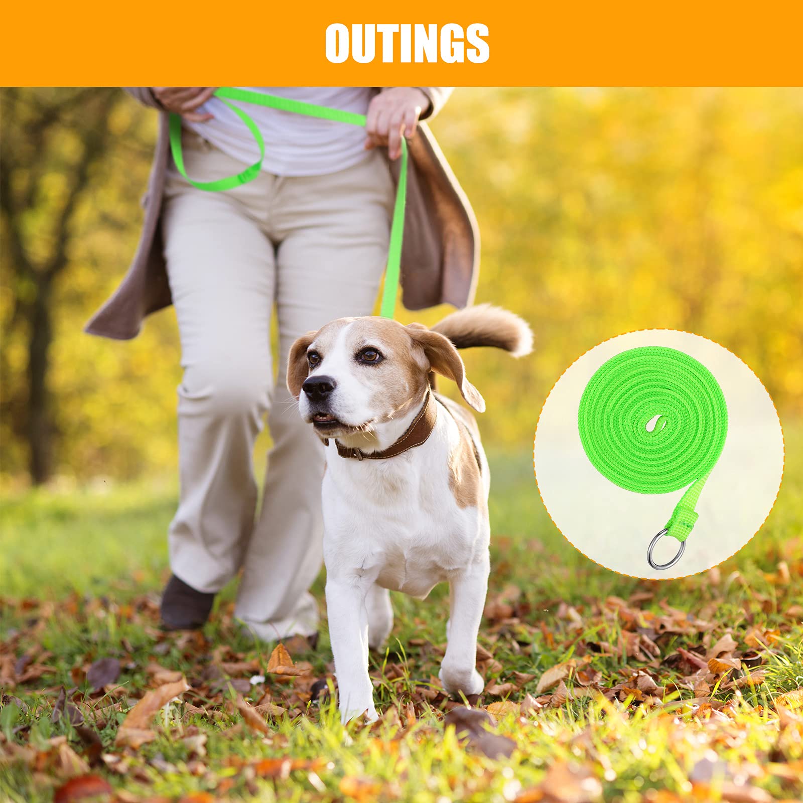 Nuanchu 60 Pieces Puppy Slip Leash Pet Pulling Leashes With O-Ring For Puppy Pet Animal Control Grooming Shelter Rescues Walking Training Doggy Daycare