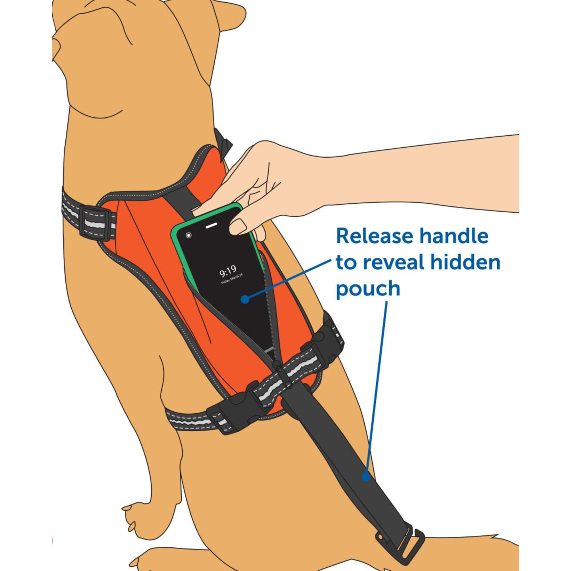 Petsafe Walk-Along Outdoor Dog Harness, No-Pull Solution, Water-Resistant, Zippered Pouch For Storage, Built-In Car Restraint, M