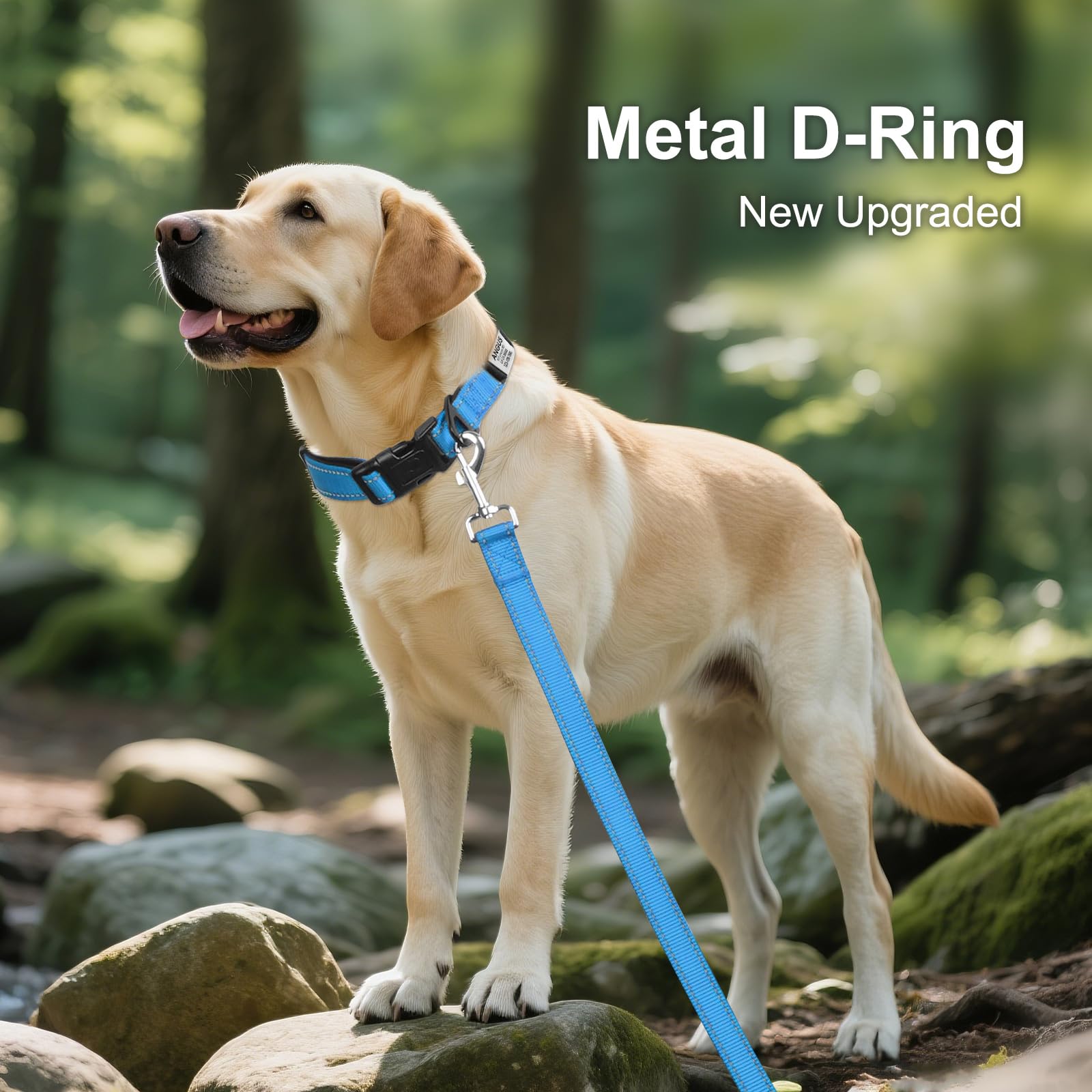 Joytale Personalized Dog Collars, Reflective Nylon Dog Collar With Engraved Name Plate, Customized For Medium Dogs, Sky Blue, M