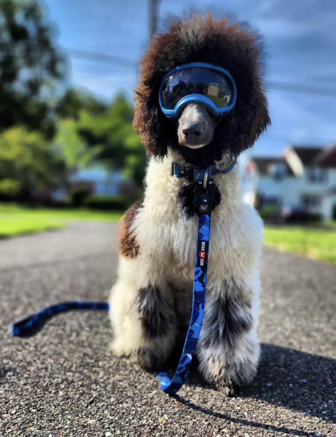 Boss Dog Tactical Leash, Blue Camo, 4 Ft