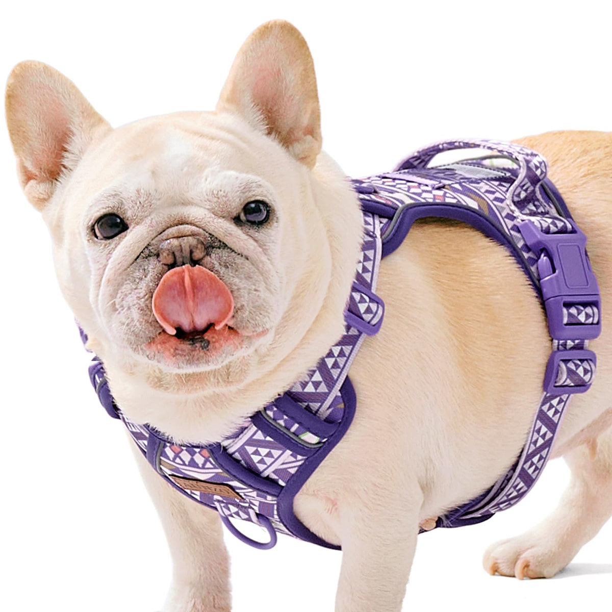 Aunzo Dog Vest Harness No Pull Easy Walker Pet Harness For Walking Training Hiking For M Sized Dogs With 2 Leash Clips 3 Buckles
