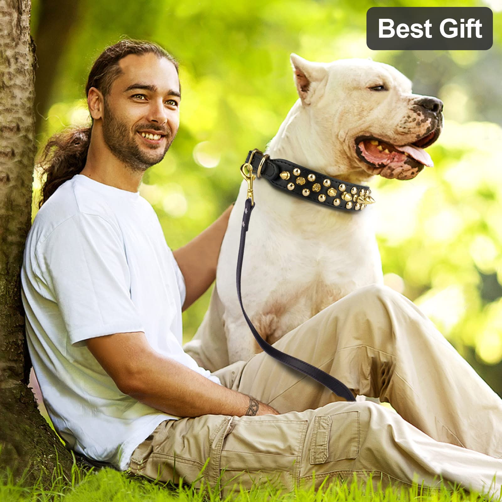 Epesiri Golden Spike Collar For Dogs, Gold Spiked Dog Collar, Durable Pu Leather Studded Dog Collar With Leash, Funny Mushrooms