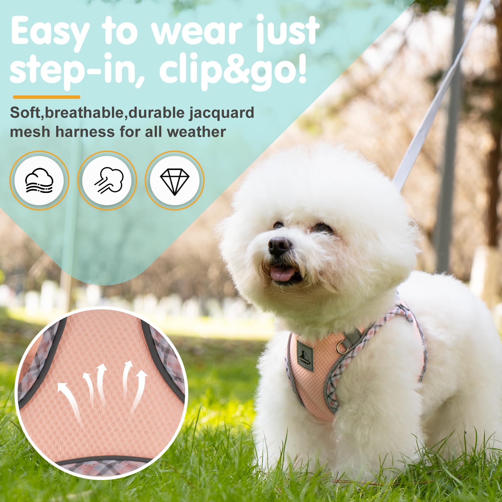 Tomtenisse Dog Harness And Leash Set, No Pull Pet Harness For Small Dogs Easy Walking,Soft Breathable Small Dog Harness,Adjustab