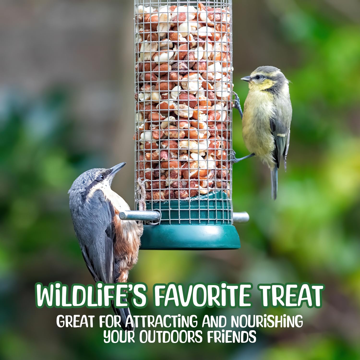 Premium Quality Raw Peanuts in Shell - 5 Pounds - All-Natural Food for Squirrels, Deer, Birds, and Other Wildlife Animals - Grow