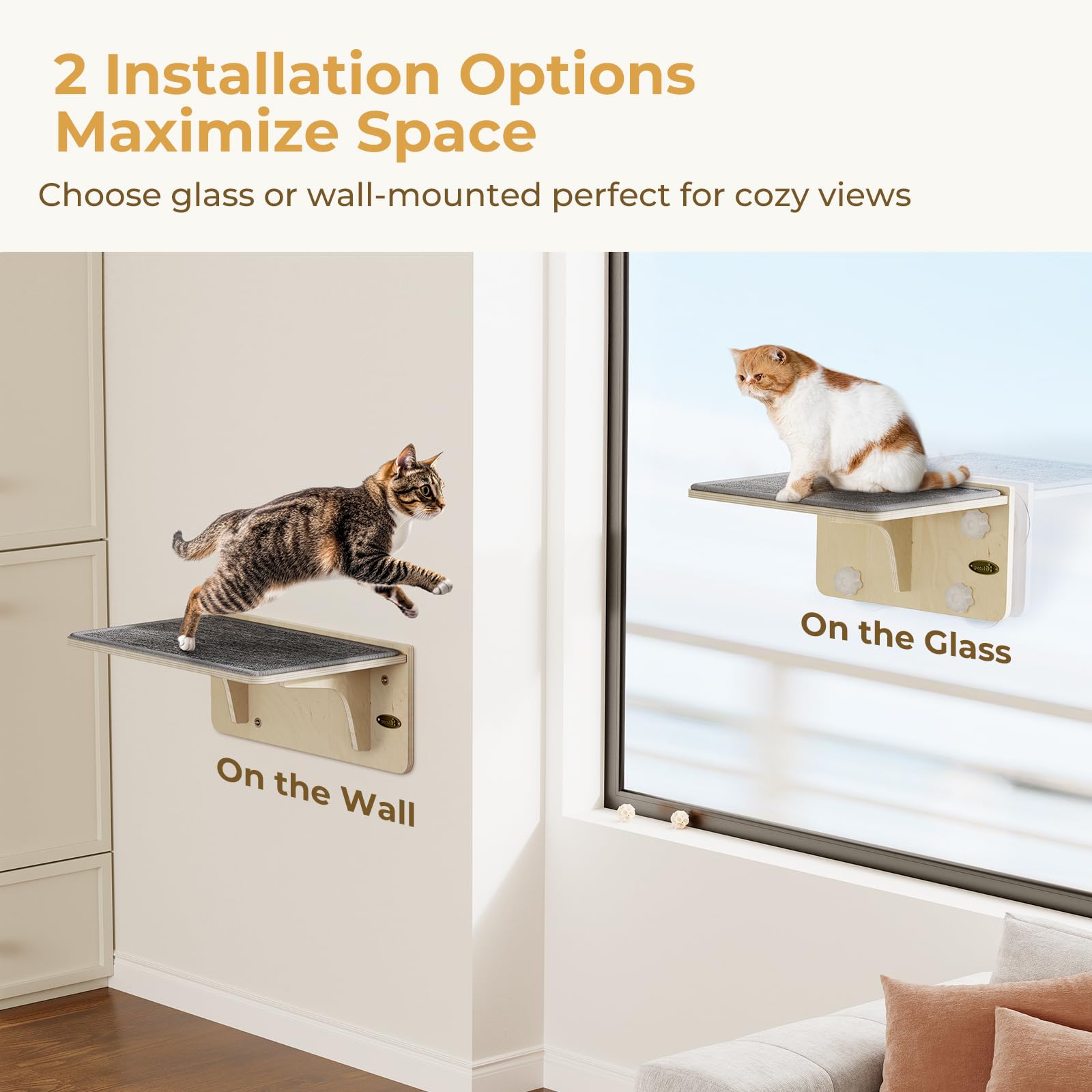 Pecute 2-in-1 Cat Window Perch & Wall Shelves - Sturdy Solid Wood Frame, 4 Large Rotating Suction Cups, Washable Carpet Cloth Co
