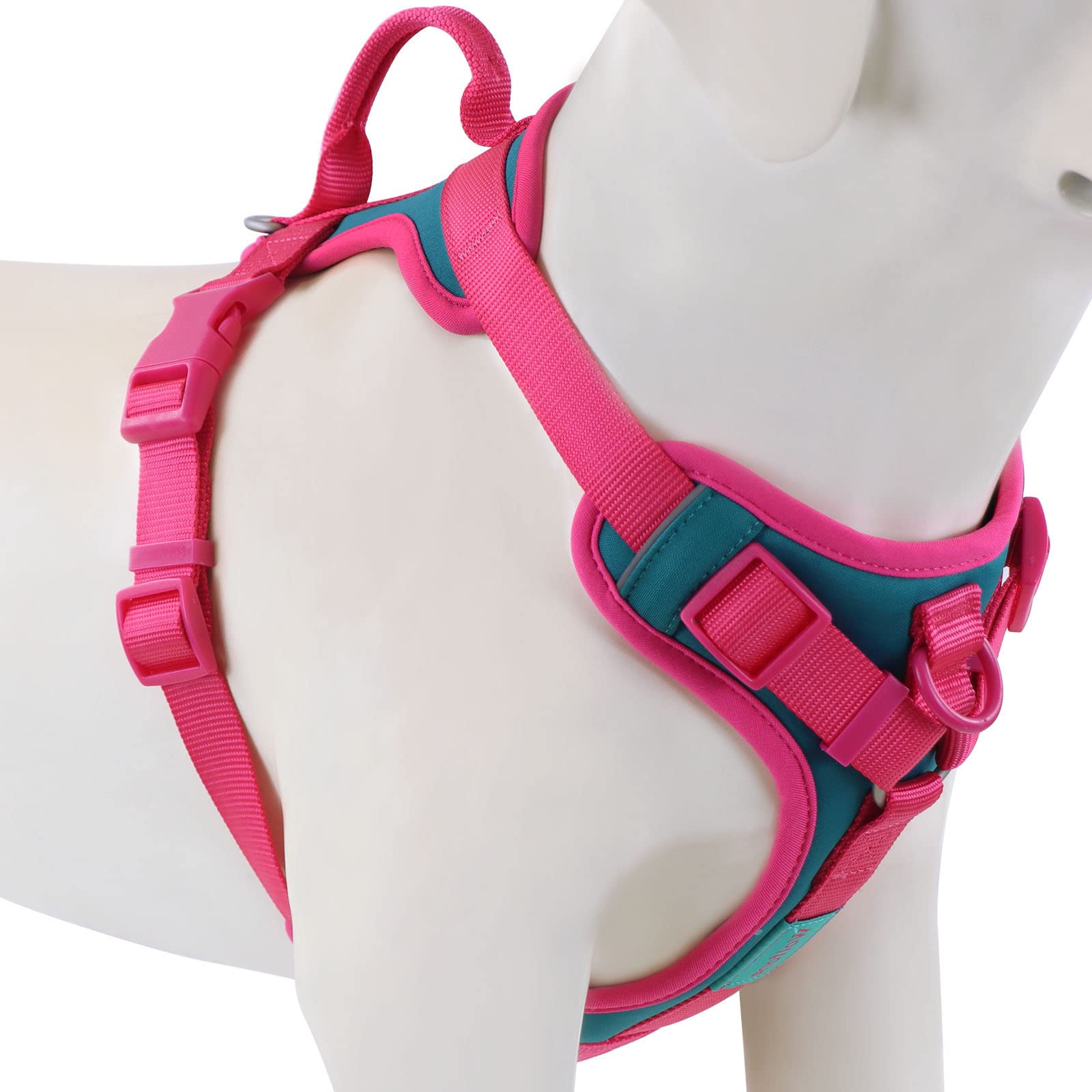 Wolfone No Pull Dog Harness Adjustable Soft Padded Pet Vest With Control Handle Adorable Daily Harness For Dogs(Viridian Green M
