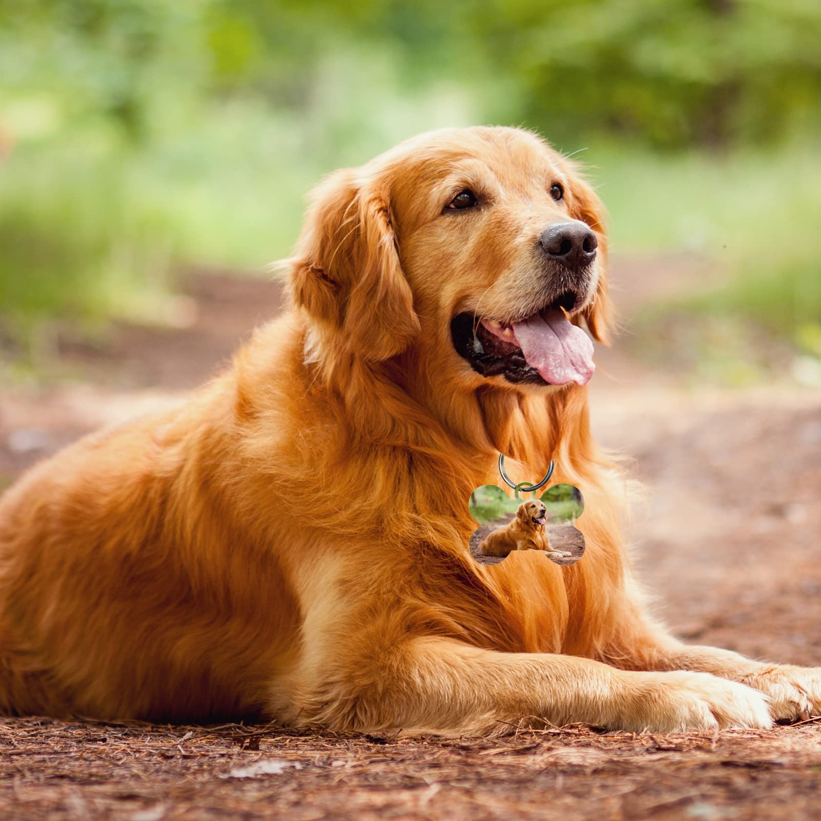 50 Pcs Sublimation Blank Dog Tags Bone Shaped Diy Double Sided Aluminum Dog Id Tags Bone Shaped Pet Name Tags Dog Collar Tags With Dogs And Cats