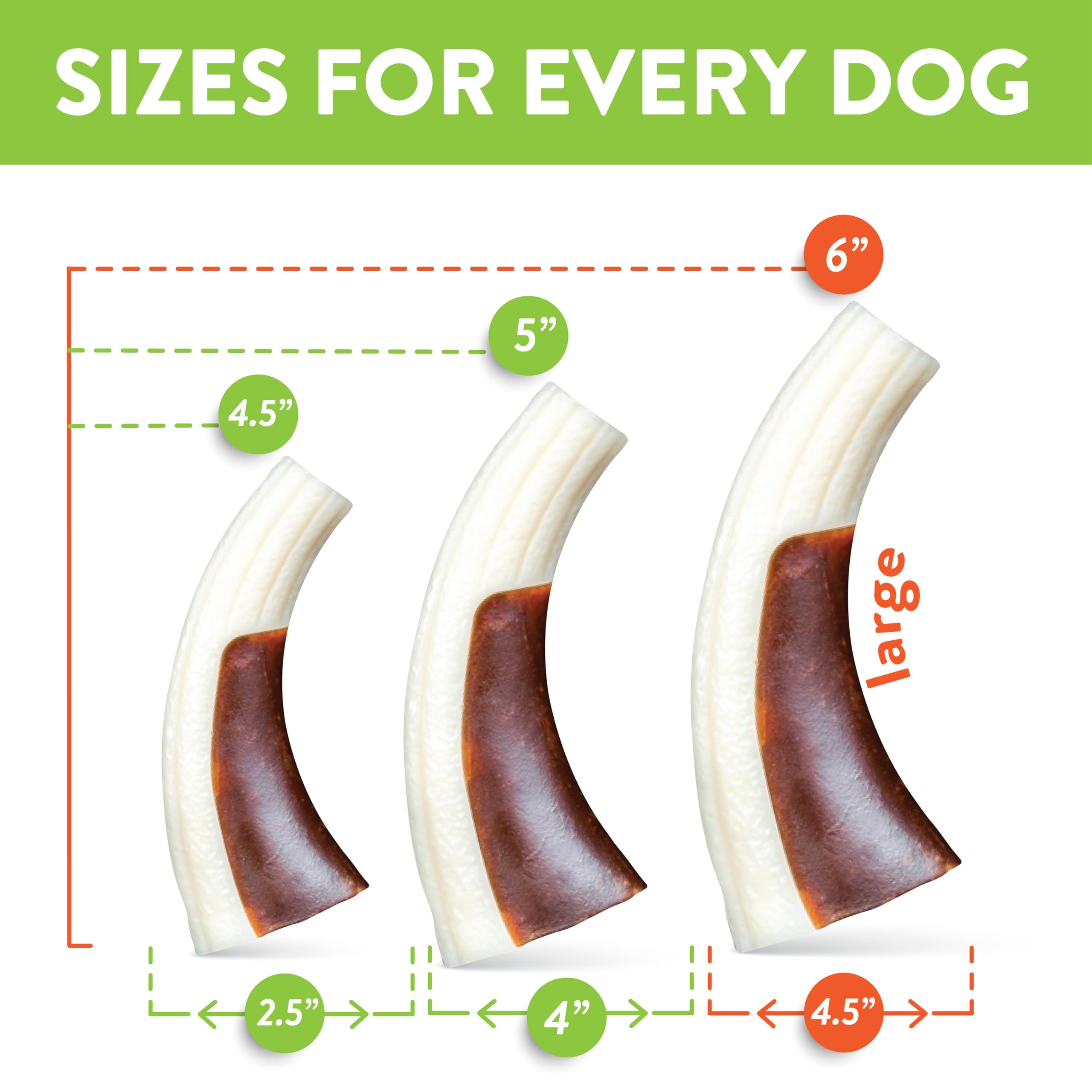 Spunky Pup Snack & Chew Antler - Durable Nylon Dog Chew Toy With Embedded Beef-Flavored Treat, Promotes Dental Health - Antler T