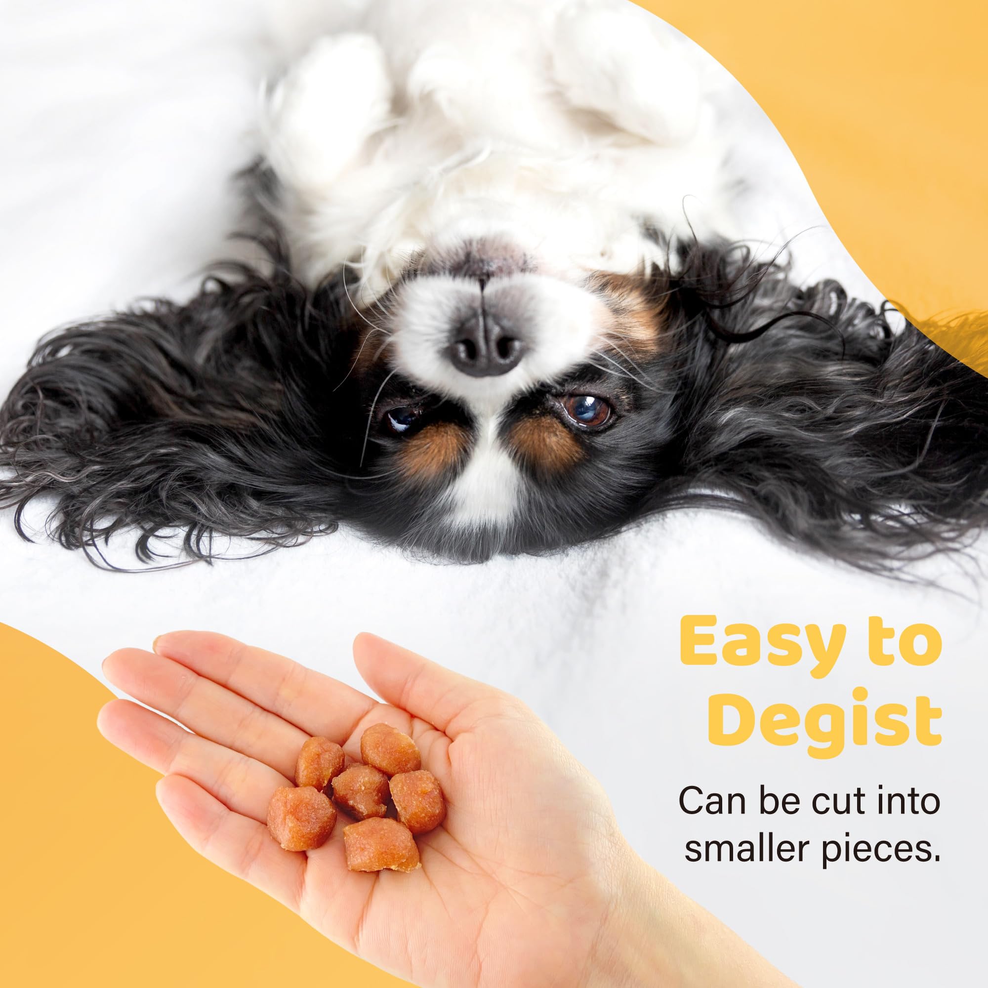 iPaw Turkey Tots Dog Treats for Puppy Training, All Natural Human Grade Dog Treat, US Sourced Raw Material, Hypoallergenic, Easy