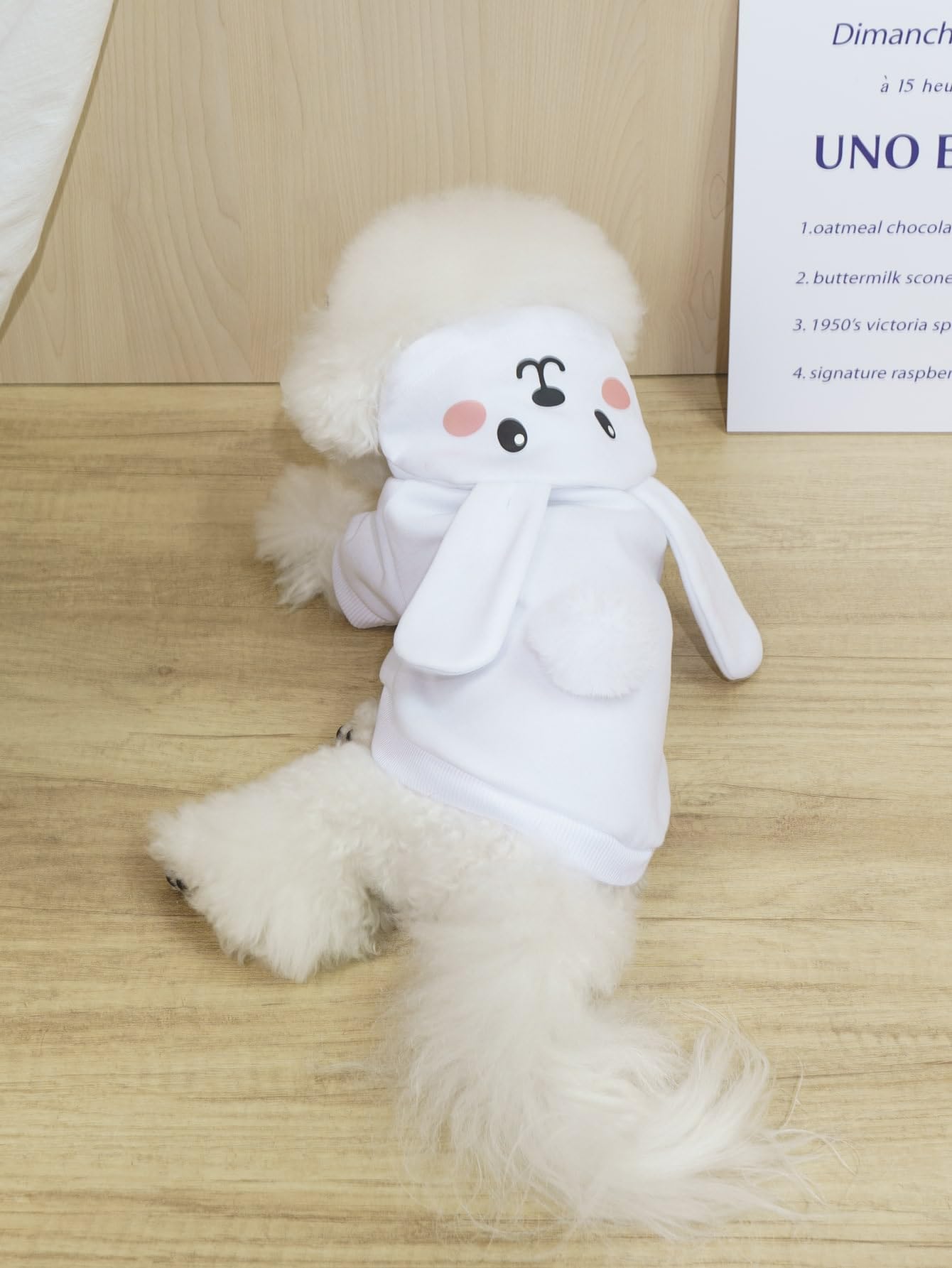 Qwinee Rabbit Dog Hoodie Dog Warm Jacket Coat Puppy Sweatshirt Christmas Halloween Dog Costume Cosplay Winter Dog Clothes Pet Apparel For Small Medium Dogs Cats Kitten Solid White Xl