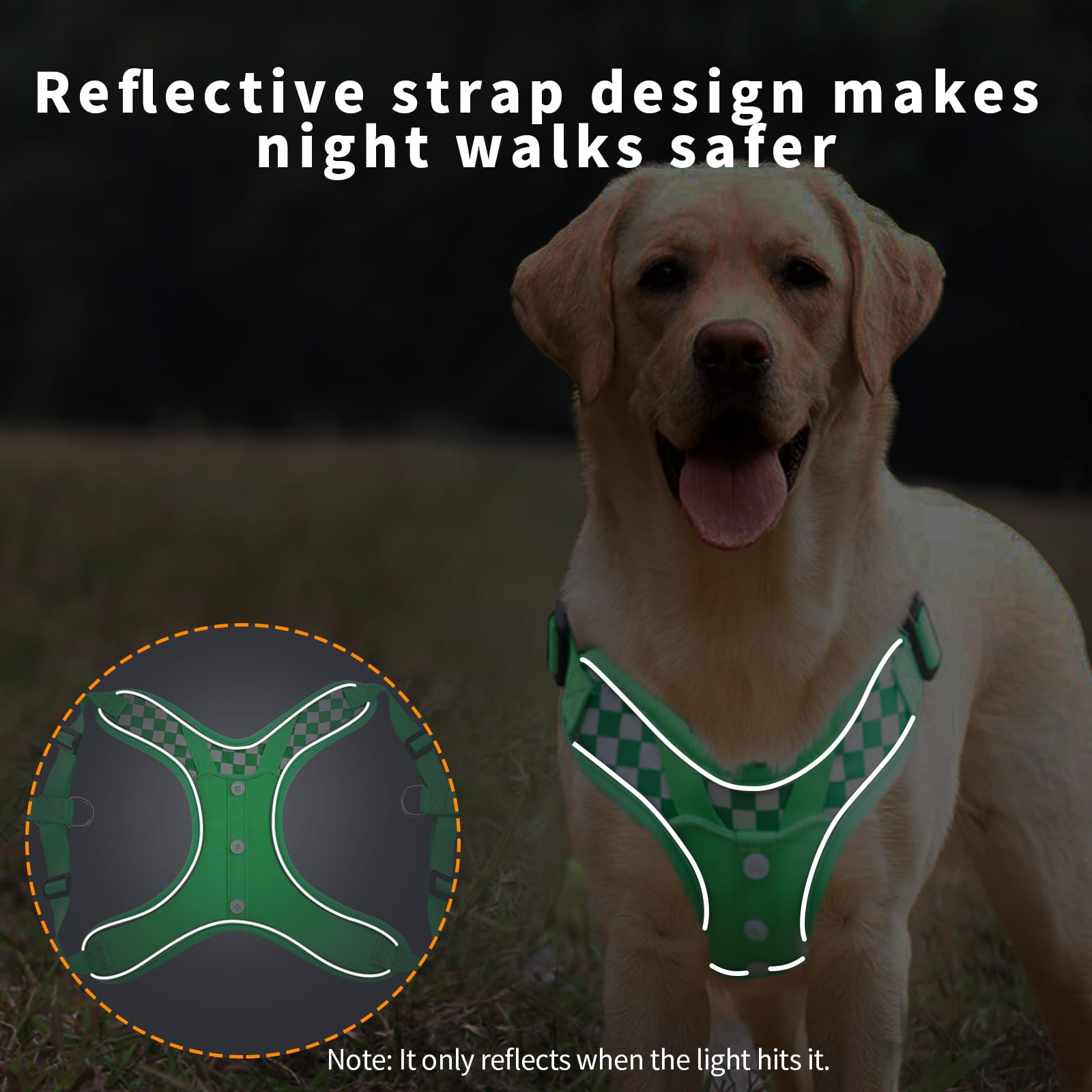 Dog Lovely Harness with Leash Set, Adjustable Step in with Breathable Padded Puppy Harness for Large Medium Dogs (L Green)