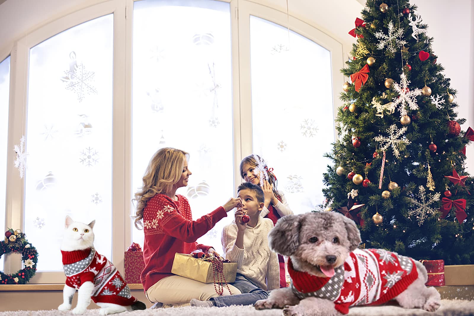 Vehomy Dog Christmas Sweaters Pet Winter Knitwear Xmas Clothes Classic Warm Coats Reindeer Snowflake Argyle Sweater For Kitty Puppy Cat-Middle L