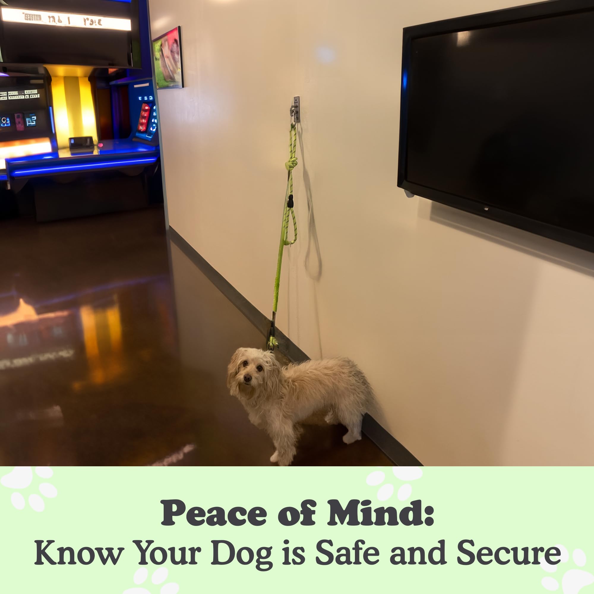 Canine Hitch- Secure Dog Leash Parking Wall Slim Hook With Clip 6 Pack - Tie Out Stainless Steel & Abs Mounting Plate For Streng