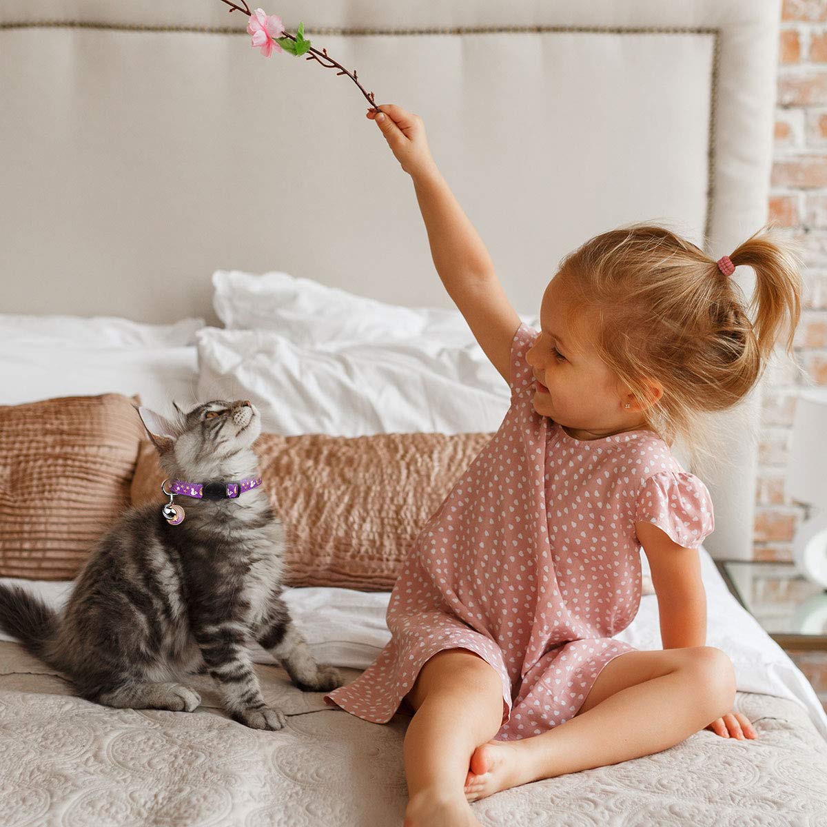 2Pcs Breakaway Cat Collars With Bell Cute Kitty Glow In The Dark Adjustable Kitten Collars 7.9-13.0 Inch(Purple&Pink)