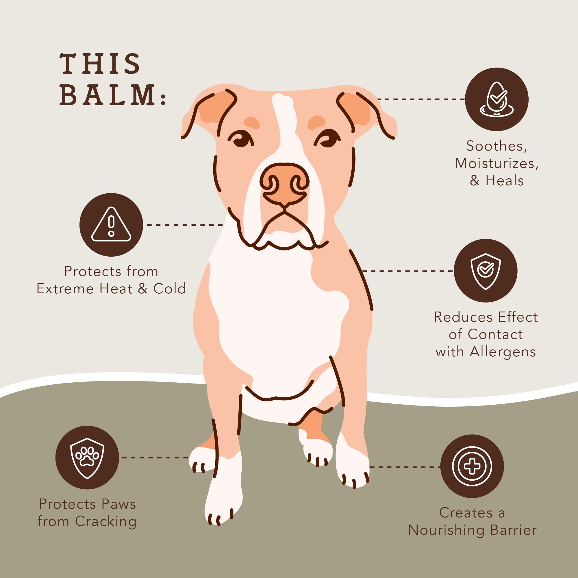 Natural Dog Company PawTection Balm - Organic Paw Protection for Dogs, 0.15 oz Travel Stick, Cream, Protects from Heat, Sand, Salt & Snow