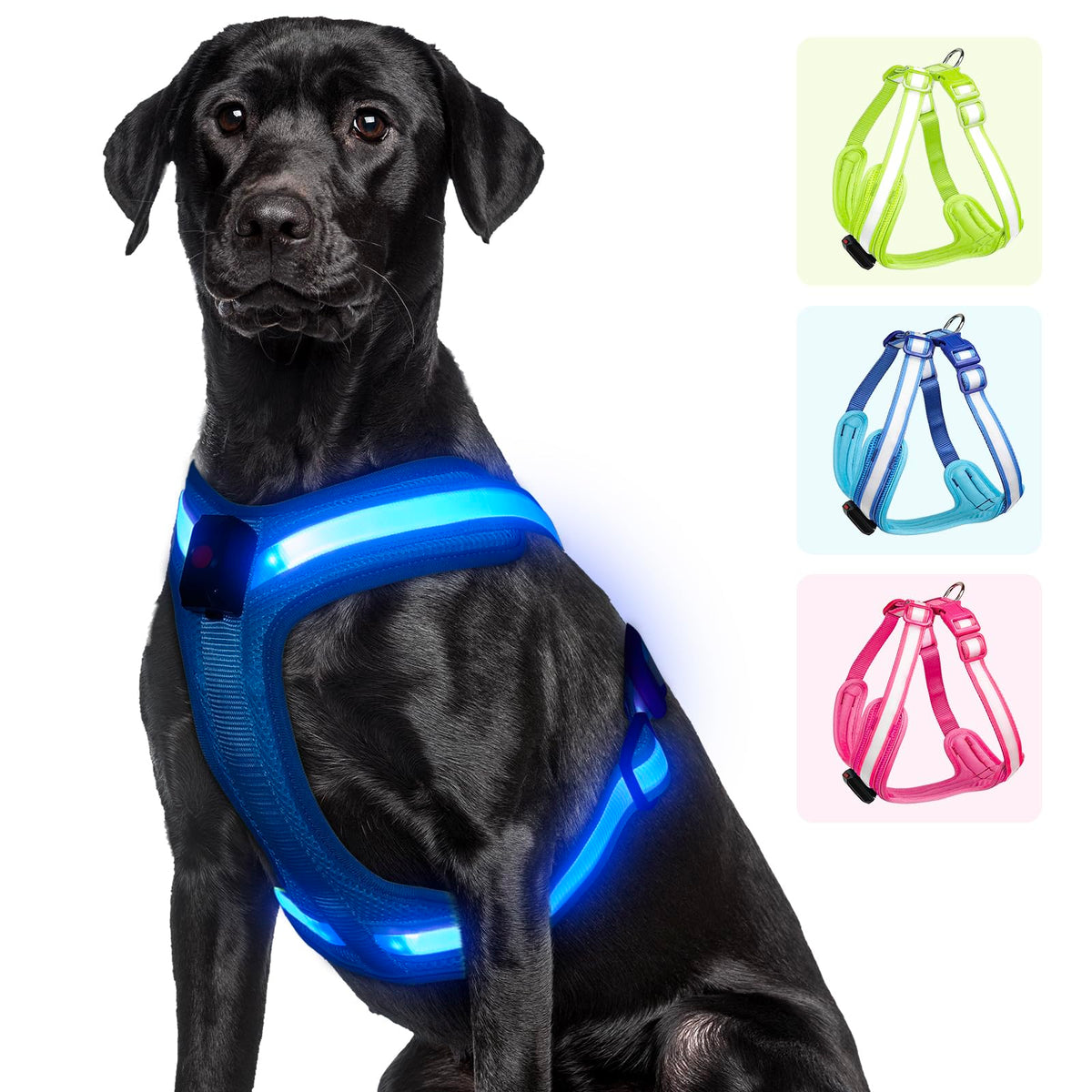 Pzrlit Light Up Dog Harness - Led Dog Harness Rechargeable, No Choke Illuminated Glow Dark Harness Vest Waterproof For Medium Large Xl Dogs For Camping Night Safety Walking-Blue,L