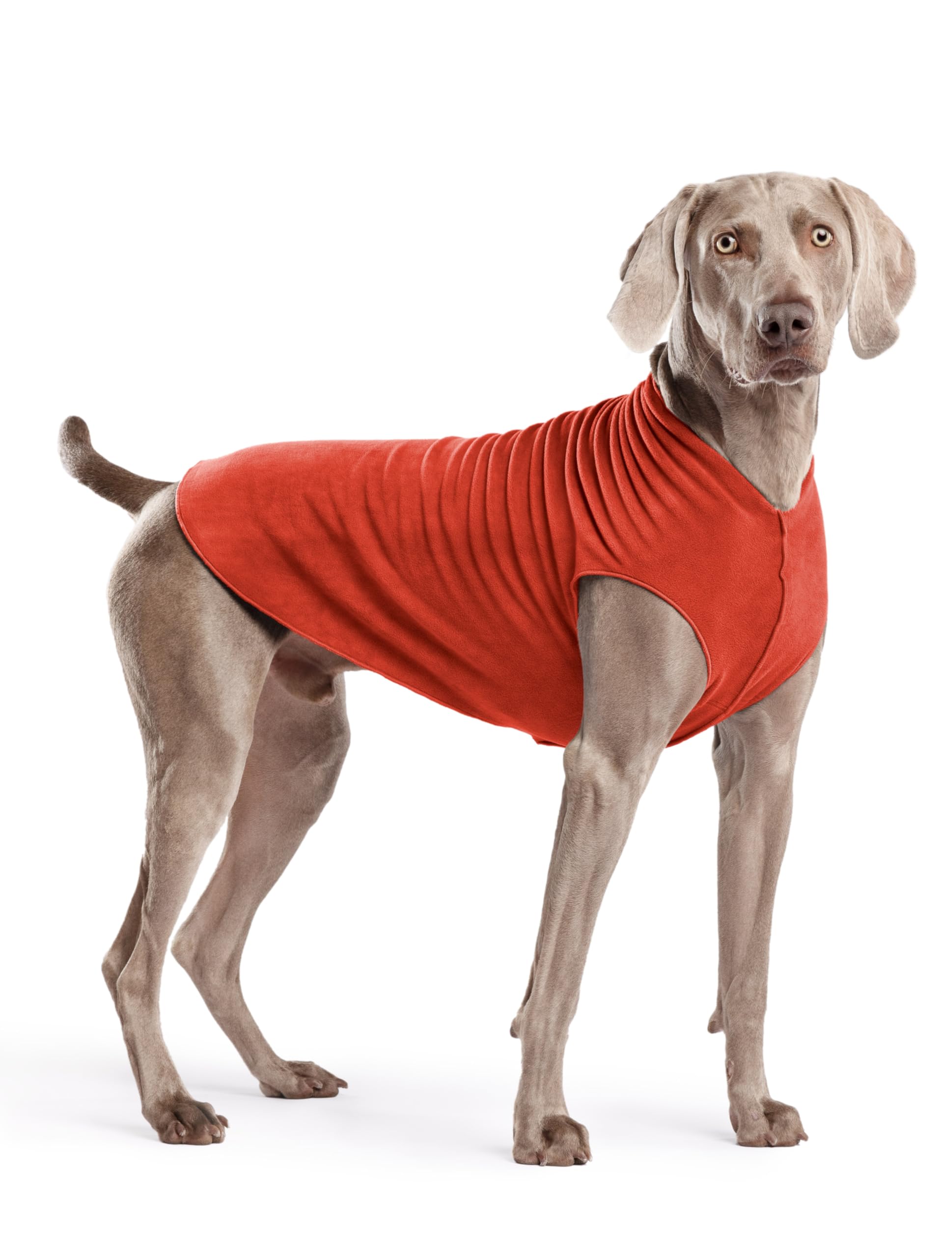 Gold Paw Stretch Fleece Dog Coat, Stretchy Pet Sweater, Machine Washable Pullover For Winter And Fall, Paprika, 22