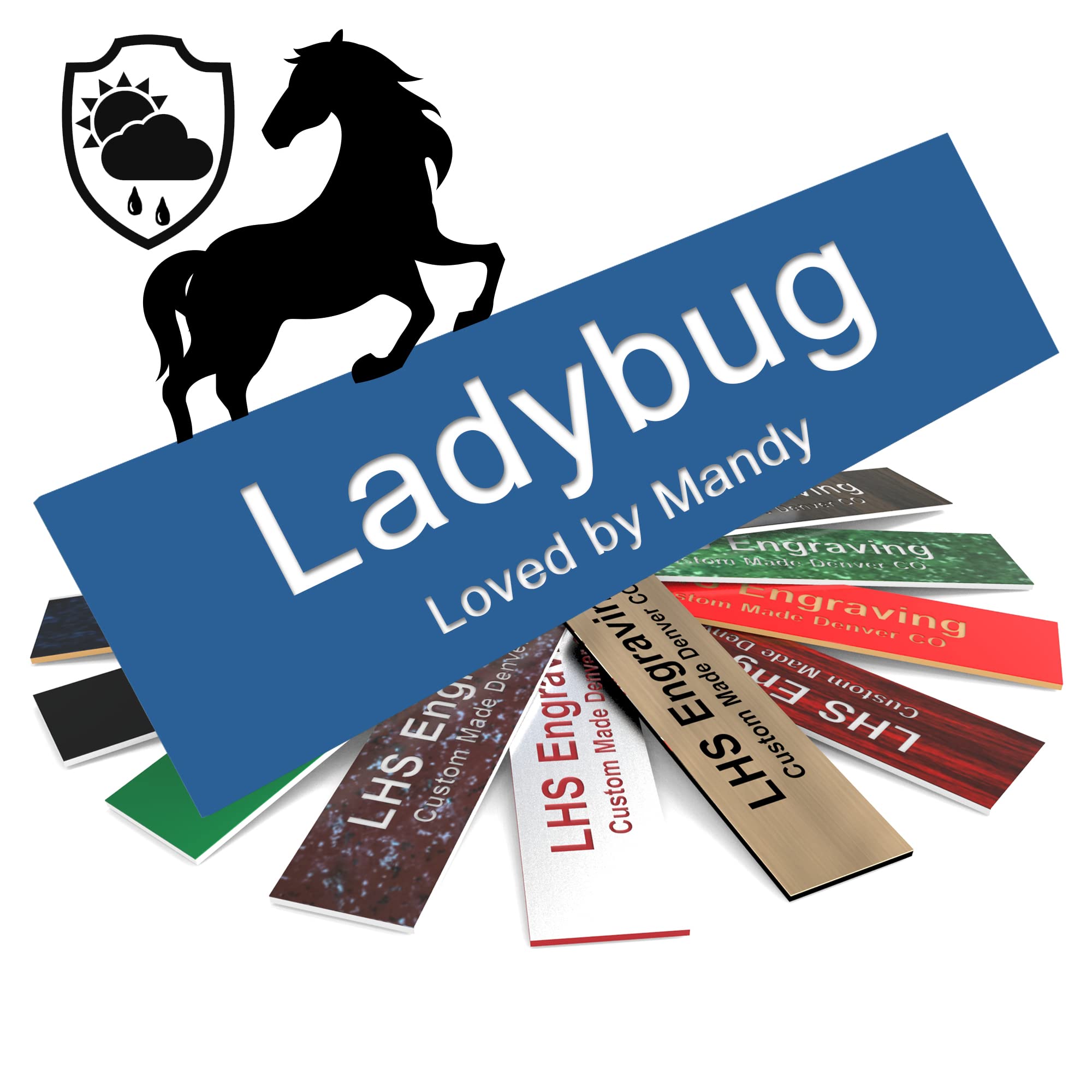 Lhs | Personalized Horse Stall Name Plates, 2X8 Horse Stall Signs With Adhesive, All Weather Uv Protected, Blue Plastic With Whi