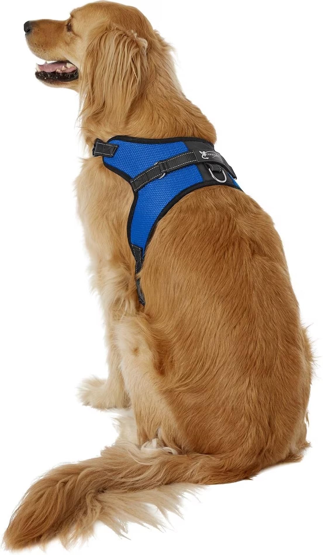 Copatchy No Pull Reflective Adjustable Dog Harness With Handle (Large Blue)