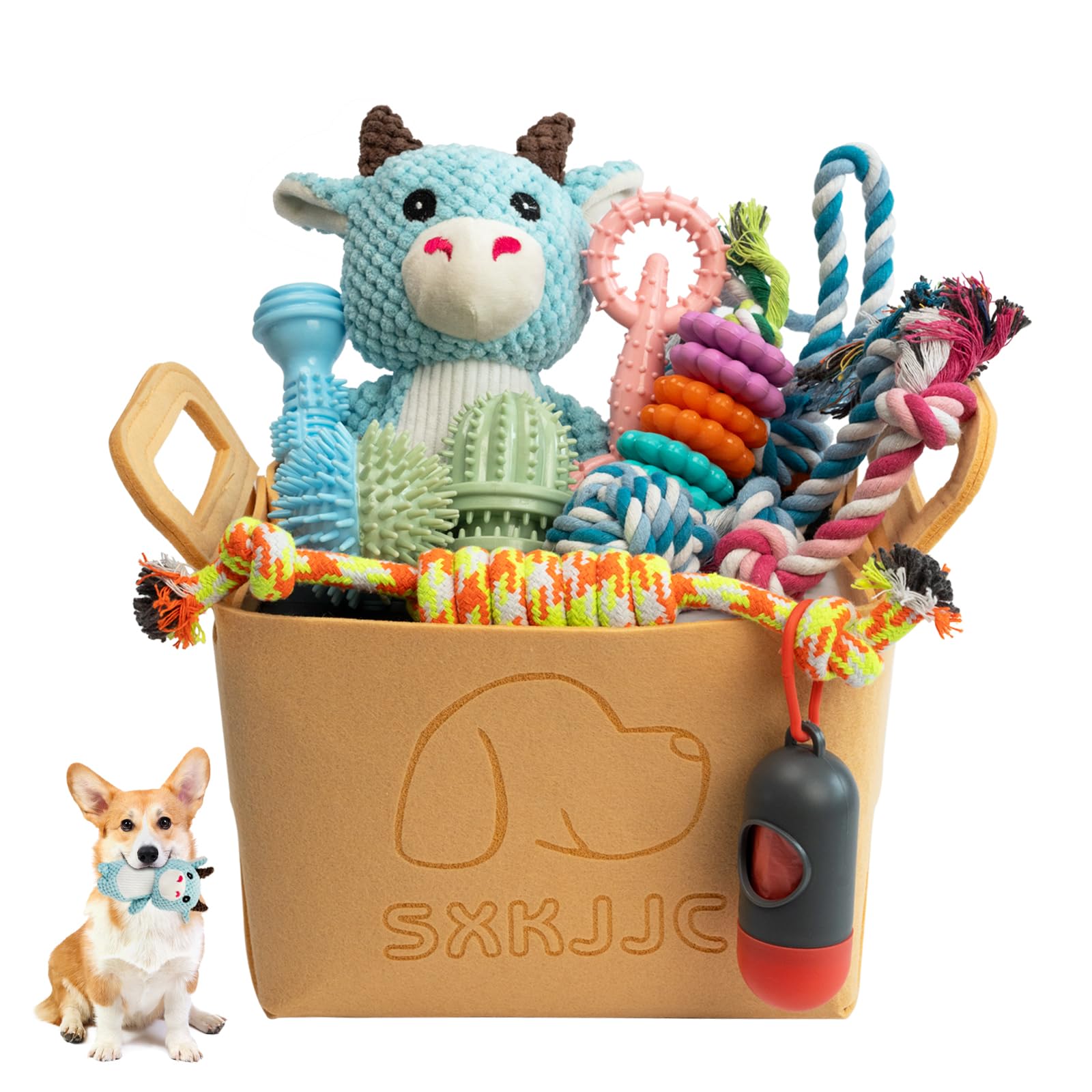 Sxkjjc Dog Chew Toys For Teething,Boredom,Toothbrush,18 Pack Puppy Toys With Rope Toys, Balls And Squeaky Toys For Small/Medium 