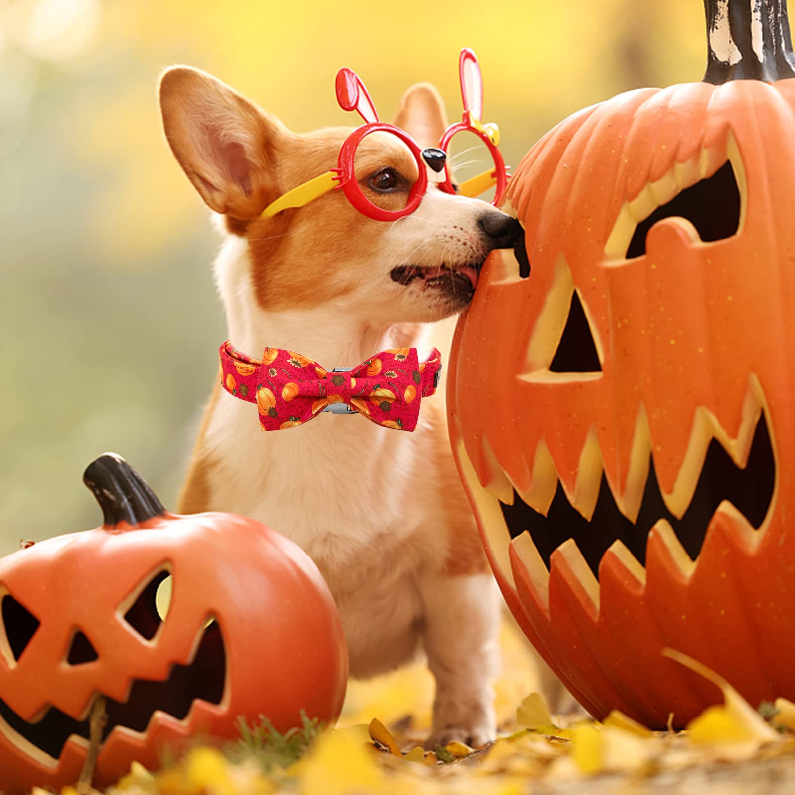 Elegant Little Tail Dog Collar With Bow - Fall Dog Collar Halloween Pumpkin Bow Girl Boy Pet Collar Soft Dog Bowtie Collars For X-Large Dogs