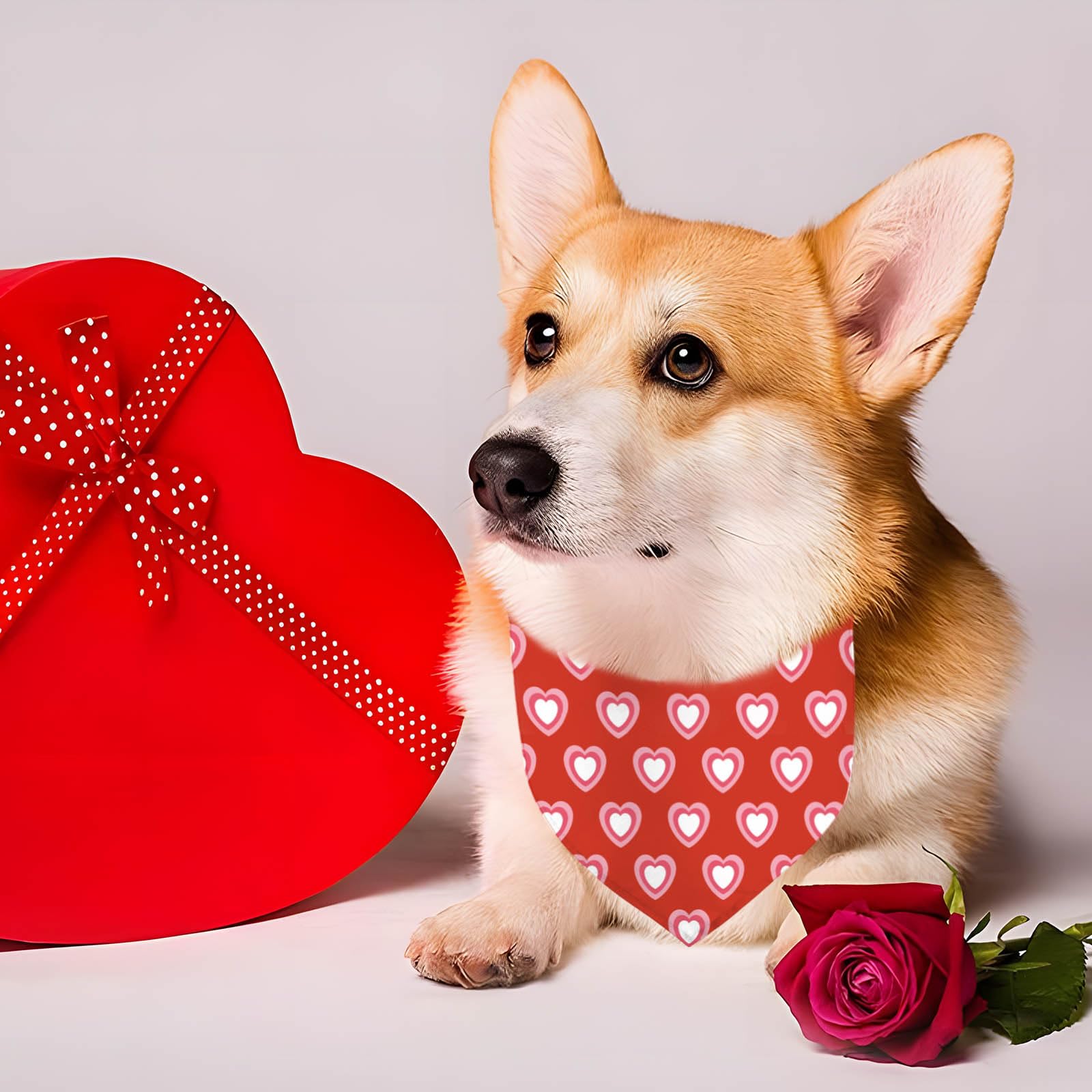 Valentine 's Day Dog Bandana, 2 Pack Adjustable Holiday Party Birthday Pets Valentine Day Bandana Mother 's Day Triangle Bibs Ca