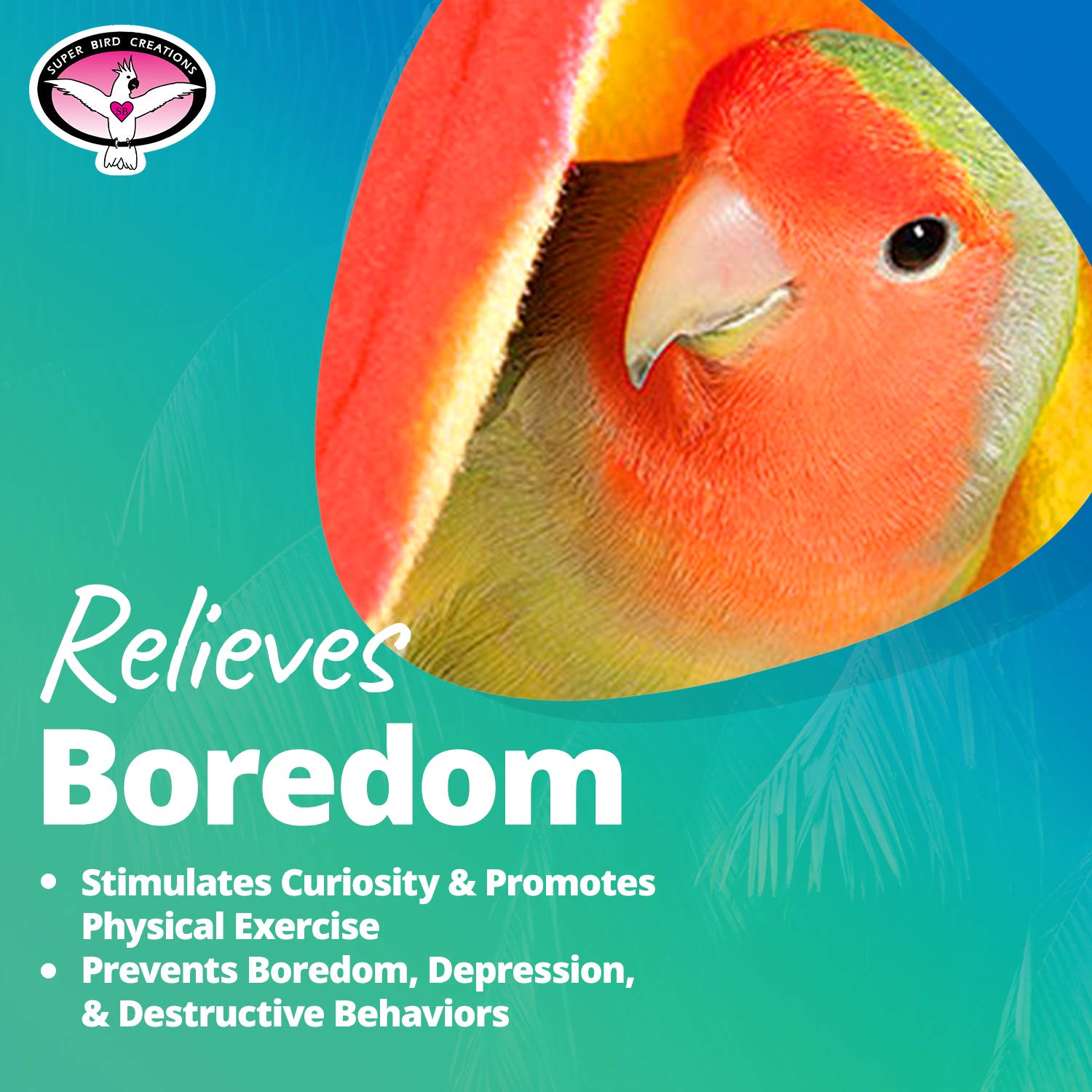 Super Bird Creations Sb473 Peekaboo Perch Tent For Small Birds, Bird Bed & Parrot Perch, Ideal Bird Cage Accessories For Parakeets, Finch, Canary Cockatiels, Comfortable Bird Perches Cage, 10”X4”X4.5”