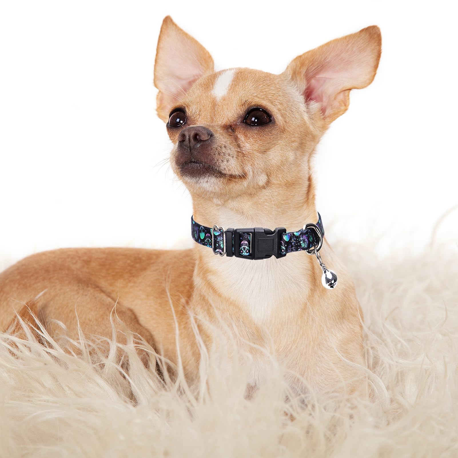 Skull Small Dog Collar With Bell, Pretty Cool Boy Cat Collar Tiny Puppy Collars With Bells For Xs Small Pet Male Dogs Kitten Lit