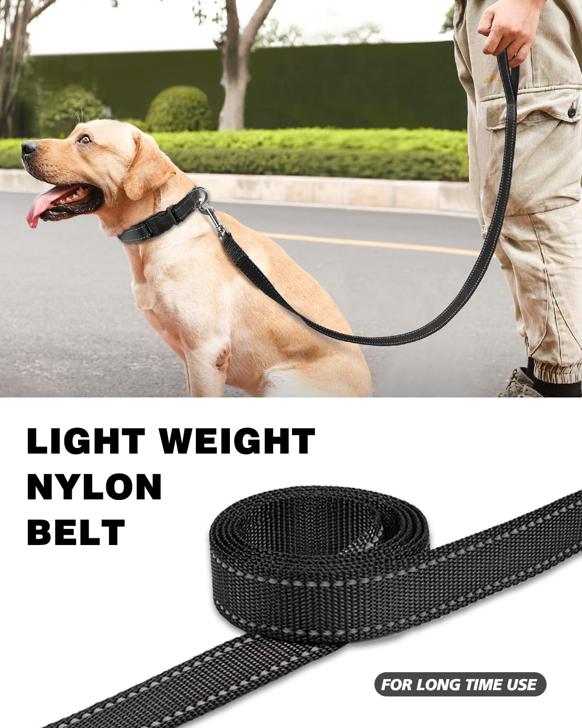 Erbine 6FT Reflective Nylon Dog Leash with Soft Padded Handle for Walking, Running and Training, Supports Small Medium and Large