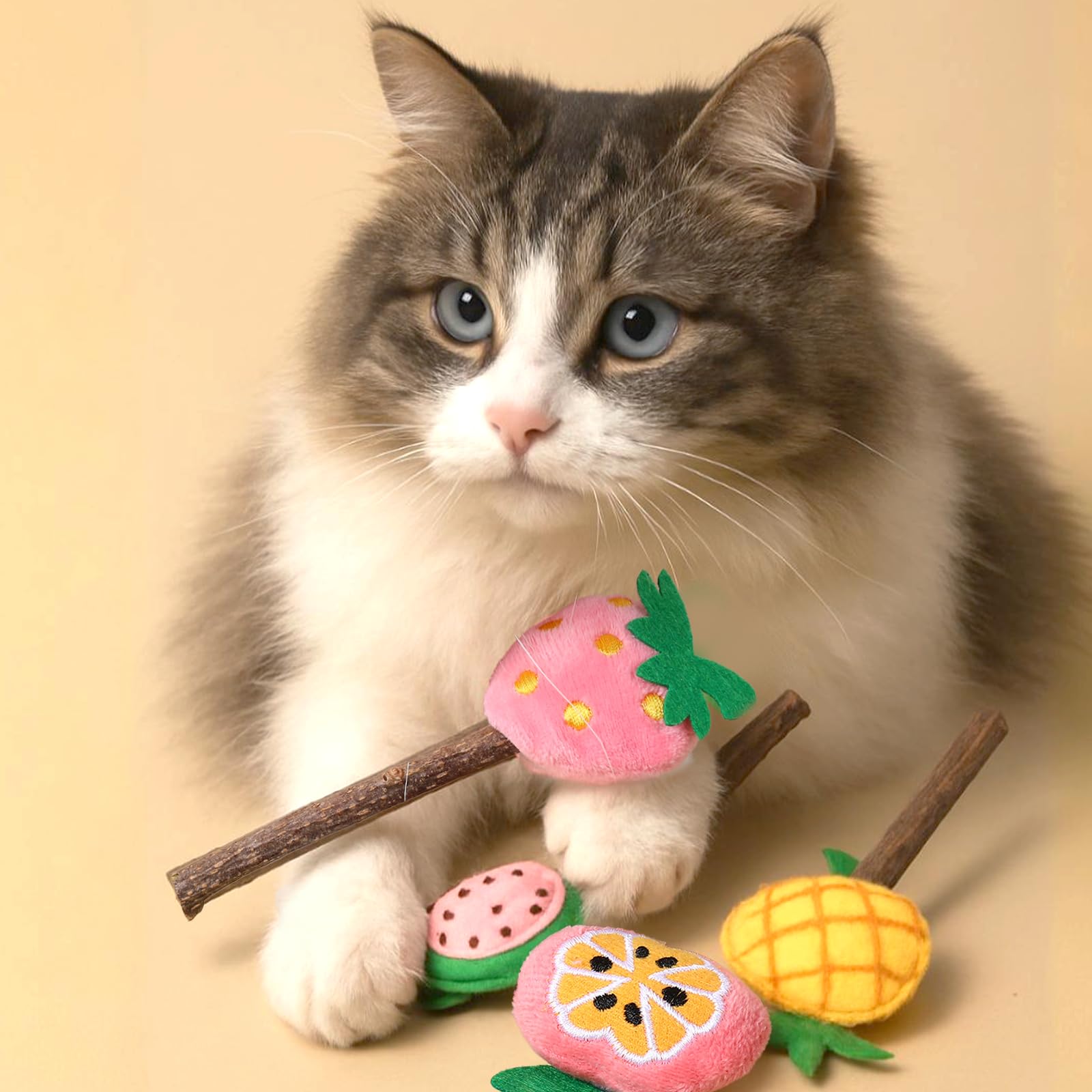 Ptwola 4 Pcs Natural Fruit Silvervine Sticks Cat Kittens Chew Toys Indoor Lollipops Interactive Cat DentalTeething Nip Treat Toy