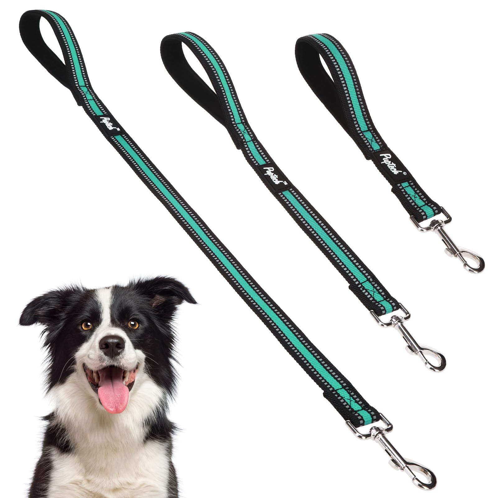 Pupteck Reflective Dog Leash Pack - 2.5Ft/ 1.5Ft/ 1Ft Nylon Leashes With Strong Clip, Soft Padded Handle, Durable Training Leash