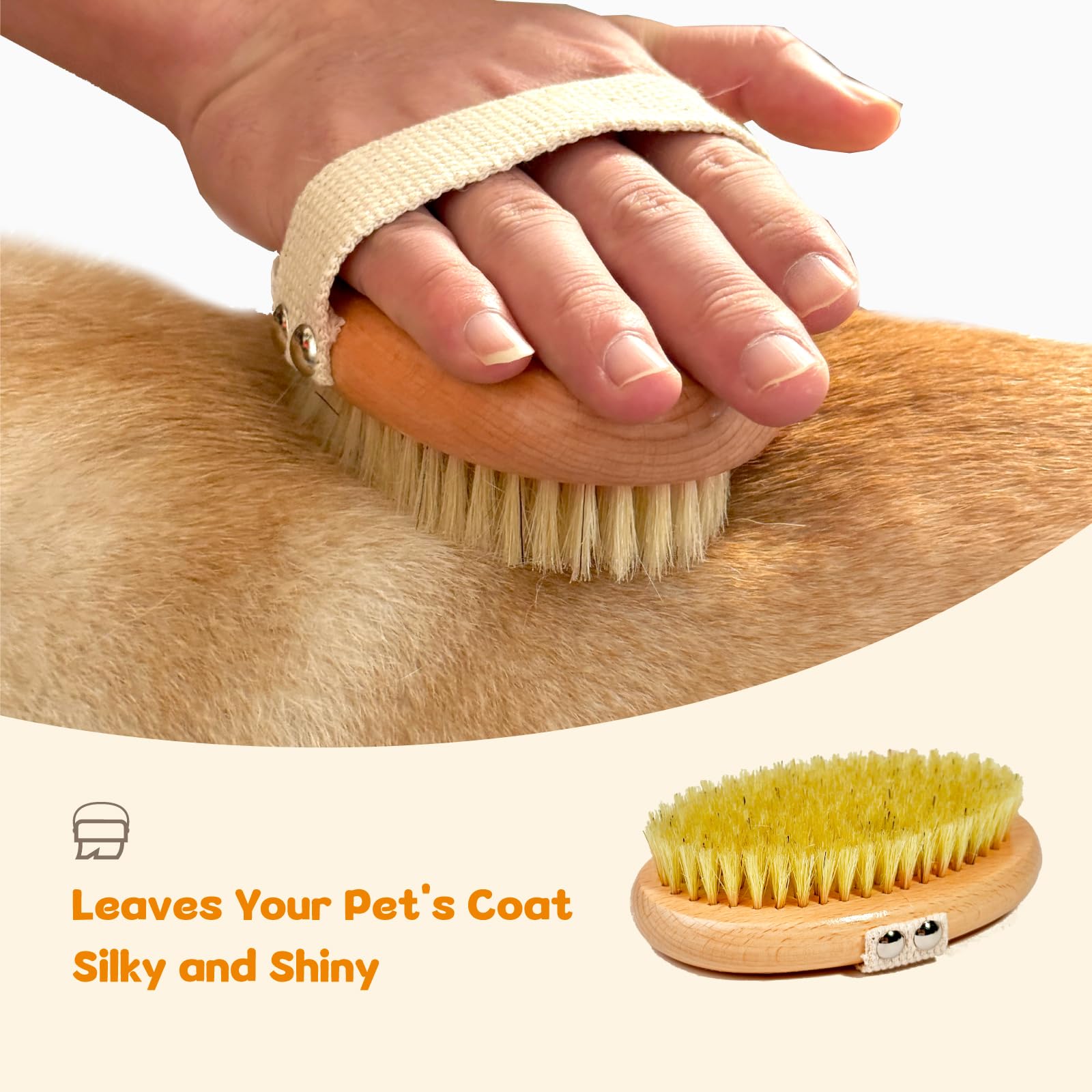 MLQGKUZ Dog Brush - Professional Boar Bristle for Short-Haired Dogs, Red, Non-Slip Grip, Reduces Shedding