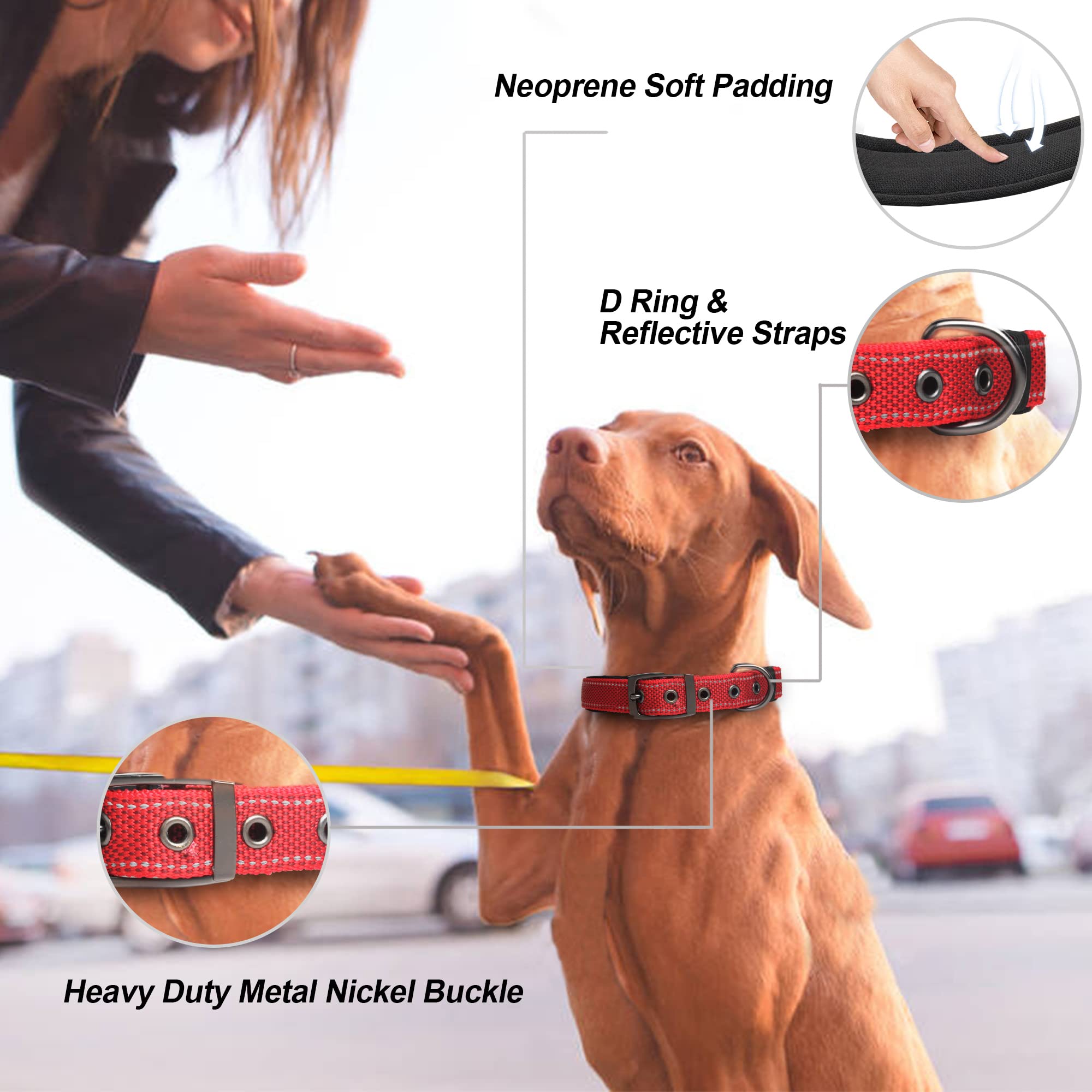 PetiFine Heavy Duty Dog Collar, Soft Neoprene Padded, Adjustable Reflective Nylon, Small (11"-14.5"), Red