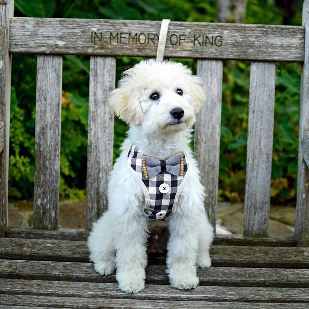 Bark Lover Small Puppy Harness With Bowtie, Adjustable Dog Vest Mesh Tuxedo Harness For Small Dog Kitten, Perfect For Party Wedding Holiday (Xs, Blue Plaid)