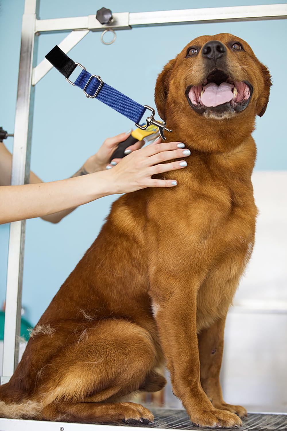 Fursdoly Pet Dog Grooming Table Arm Accessories Dog Grooming Loops For Table Arm Extender Adjustable Extension Loop Bathing Rest