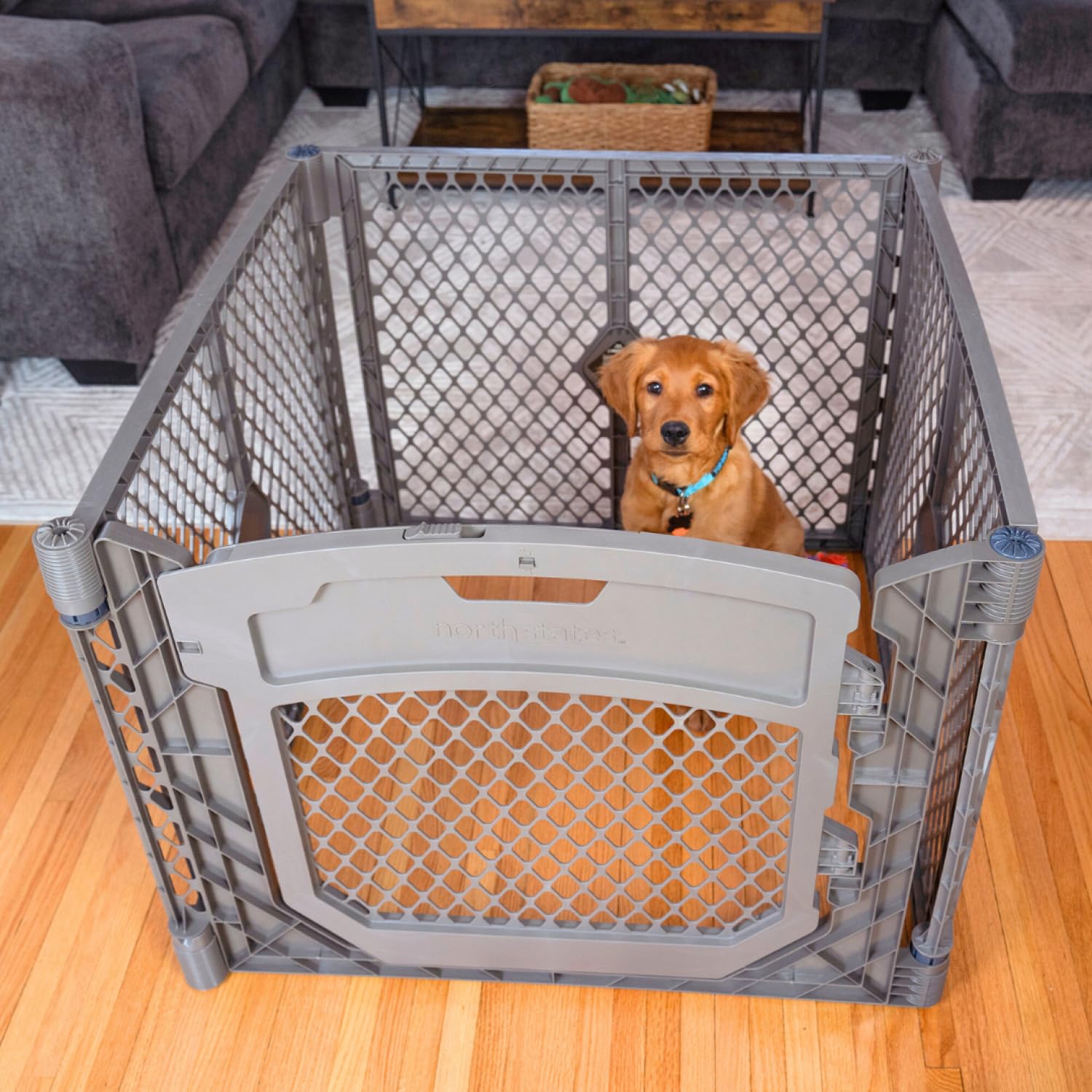 Mypet North States Petyard Plus: 3 Ft. Wide Folding Dog Playpen Indoor Or Outdoor. 4-Panel Freestanding Play Pen Dog Gate Made I