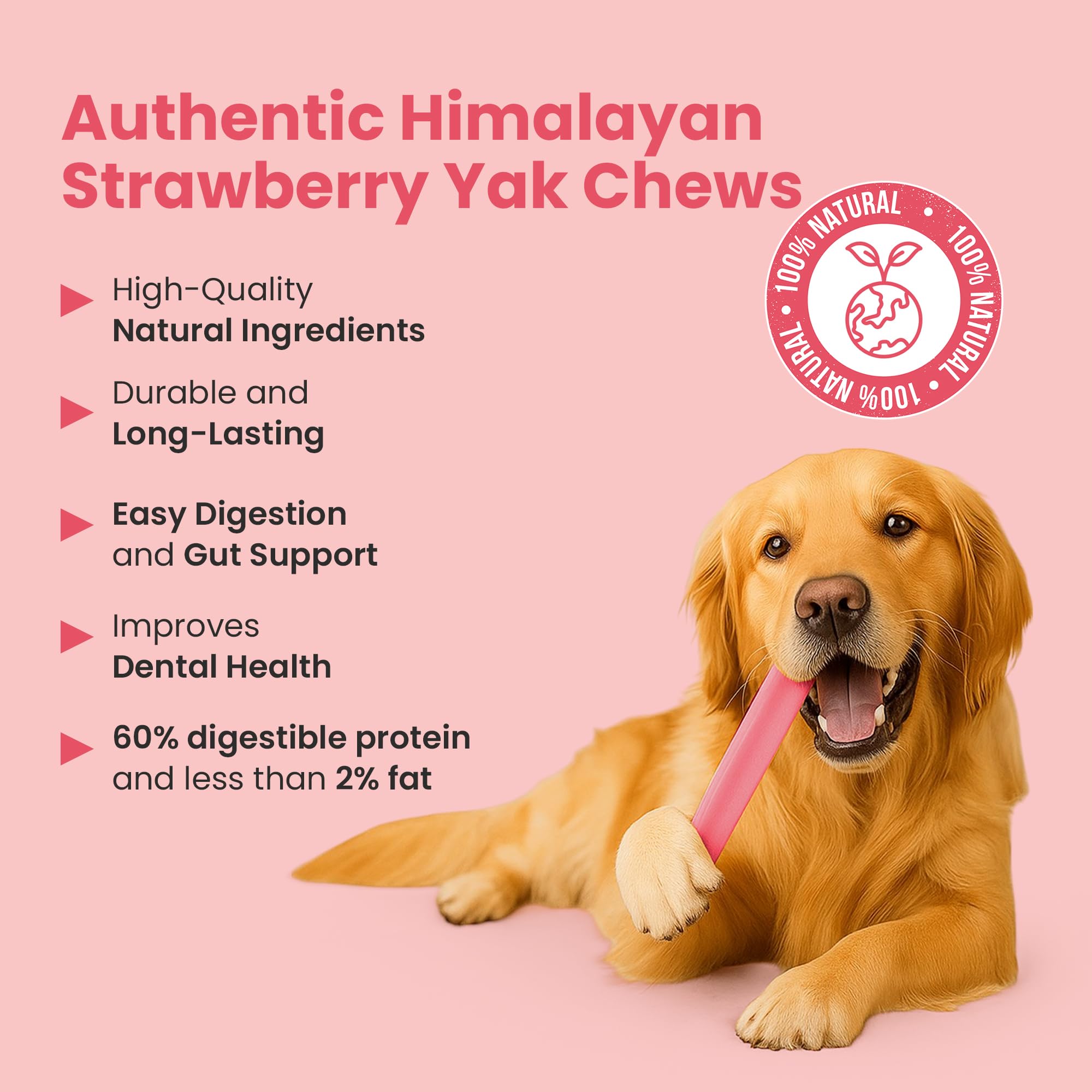 KATHMANDUS 100% Natural Strawberry Flavor Yak Chews - Keep Dogs Busy & Happy with our Lactose & Rawhide Free Himalayan Dog Chew