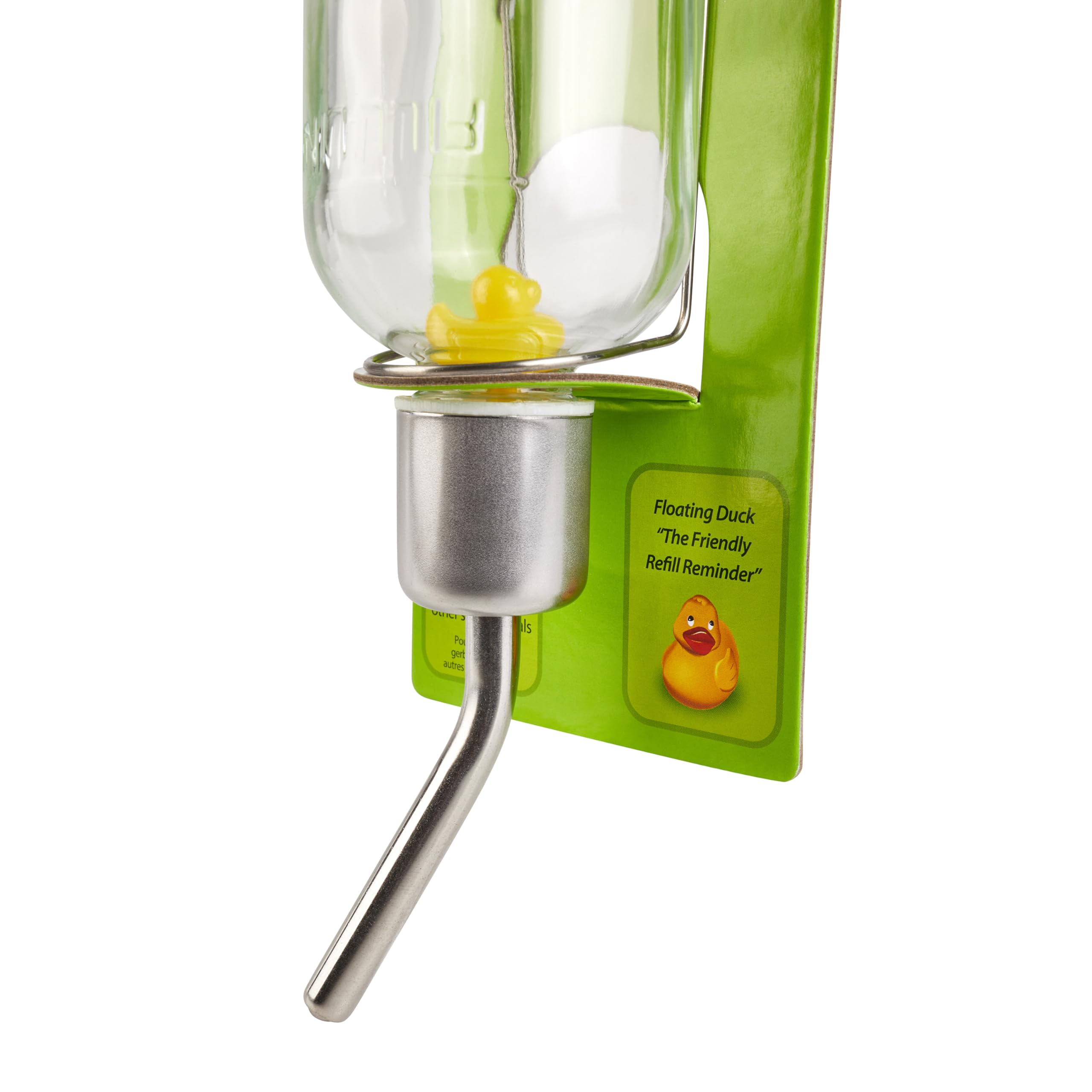 Kaytee Chew-Proof Water Bottle For Pet Rabbits, Ferrets, Guinea Pigs And Chinchillas, 12 Oz