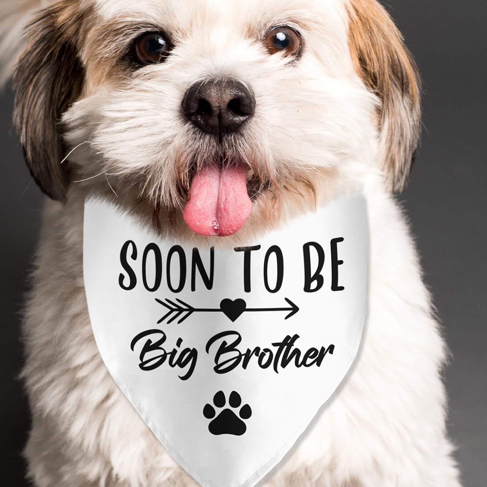 Lmaurrizt Soon To Be Big Brother Dog Bandana Pregnancy Announcement Dog Bandana Pet Scarf Pet Accessories For Pet Dog Lover Preg